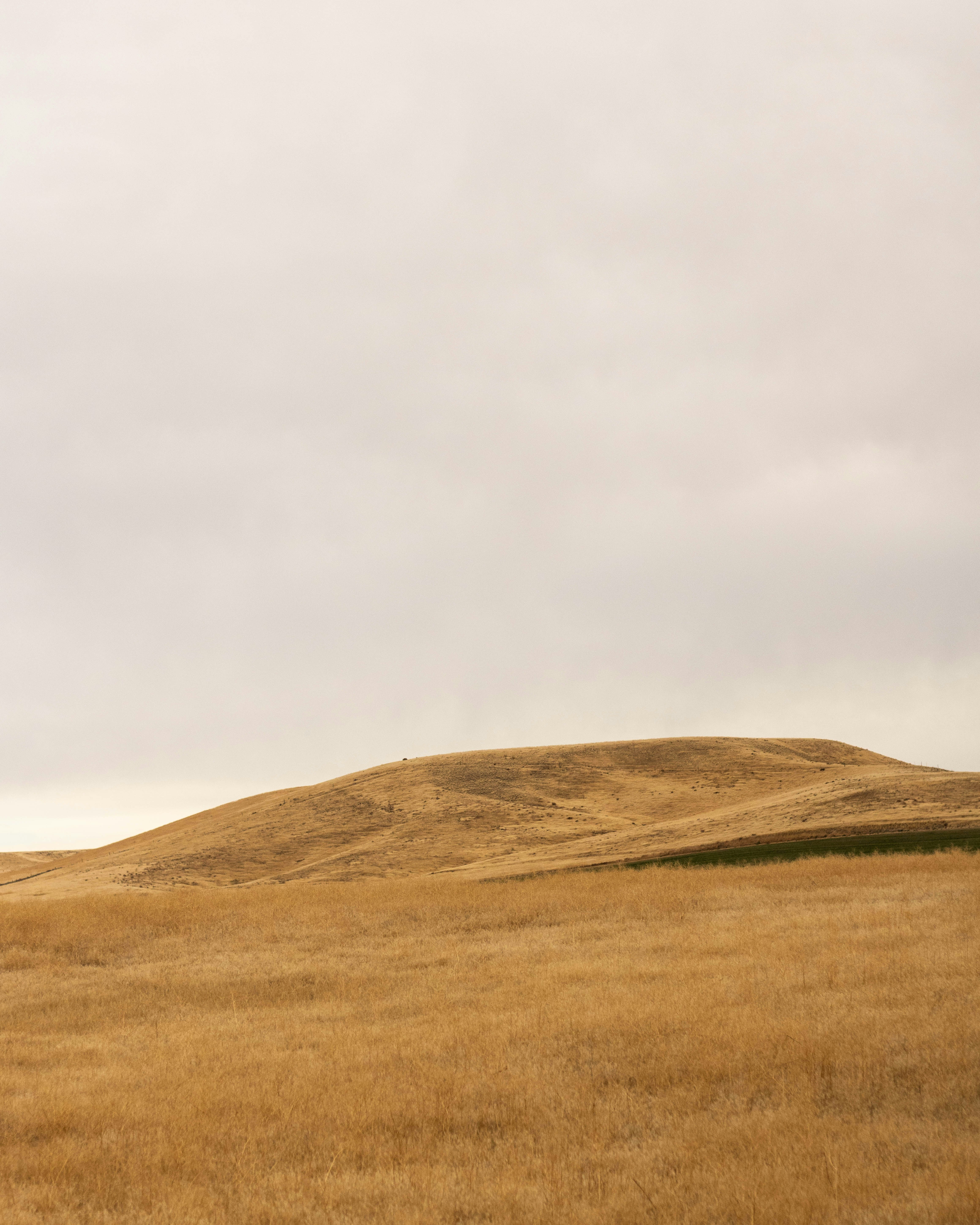 Photo by blakecheekk