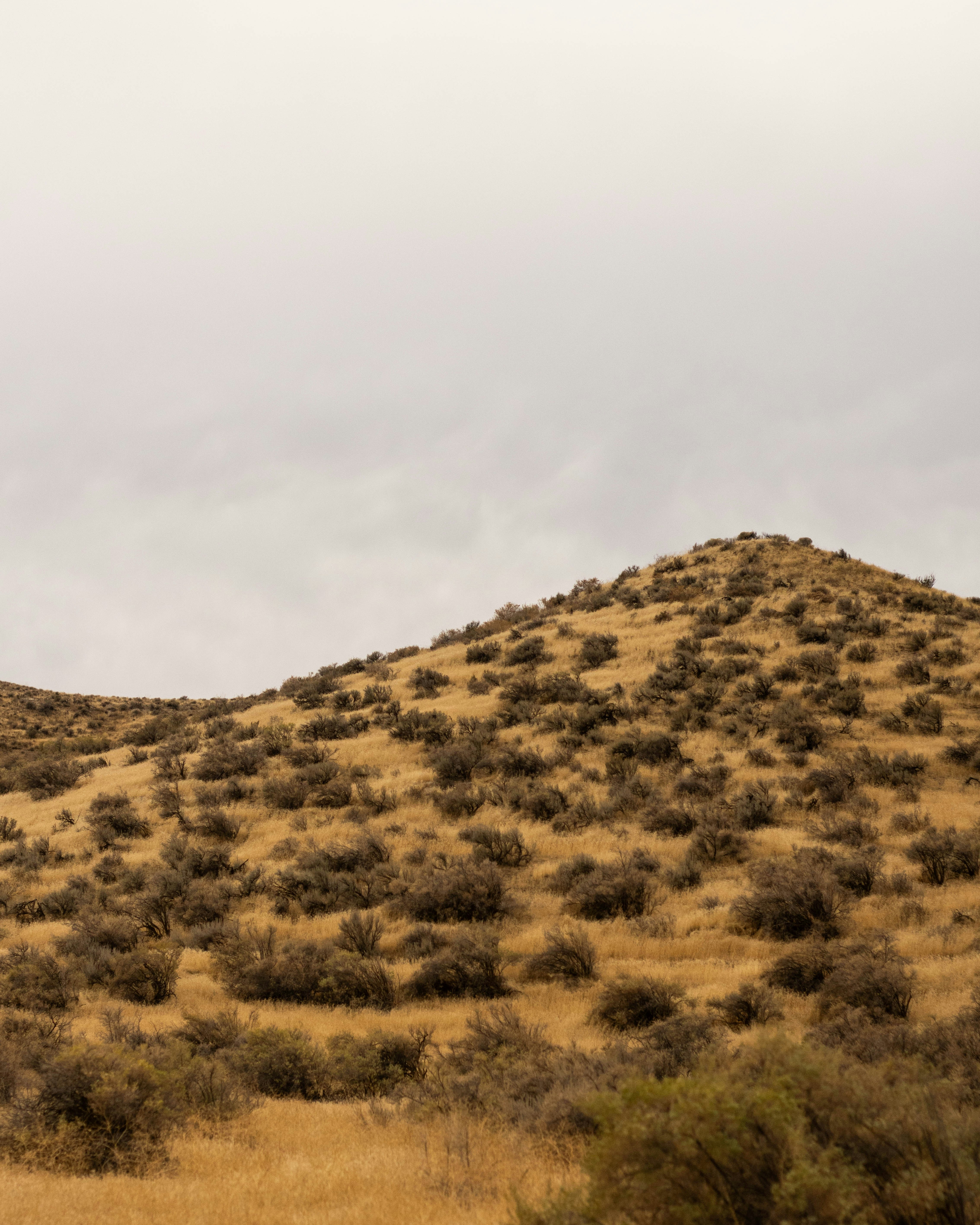 Photo by blakecheekk