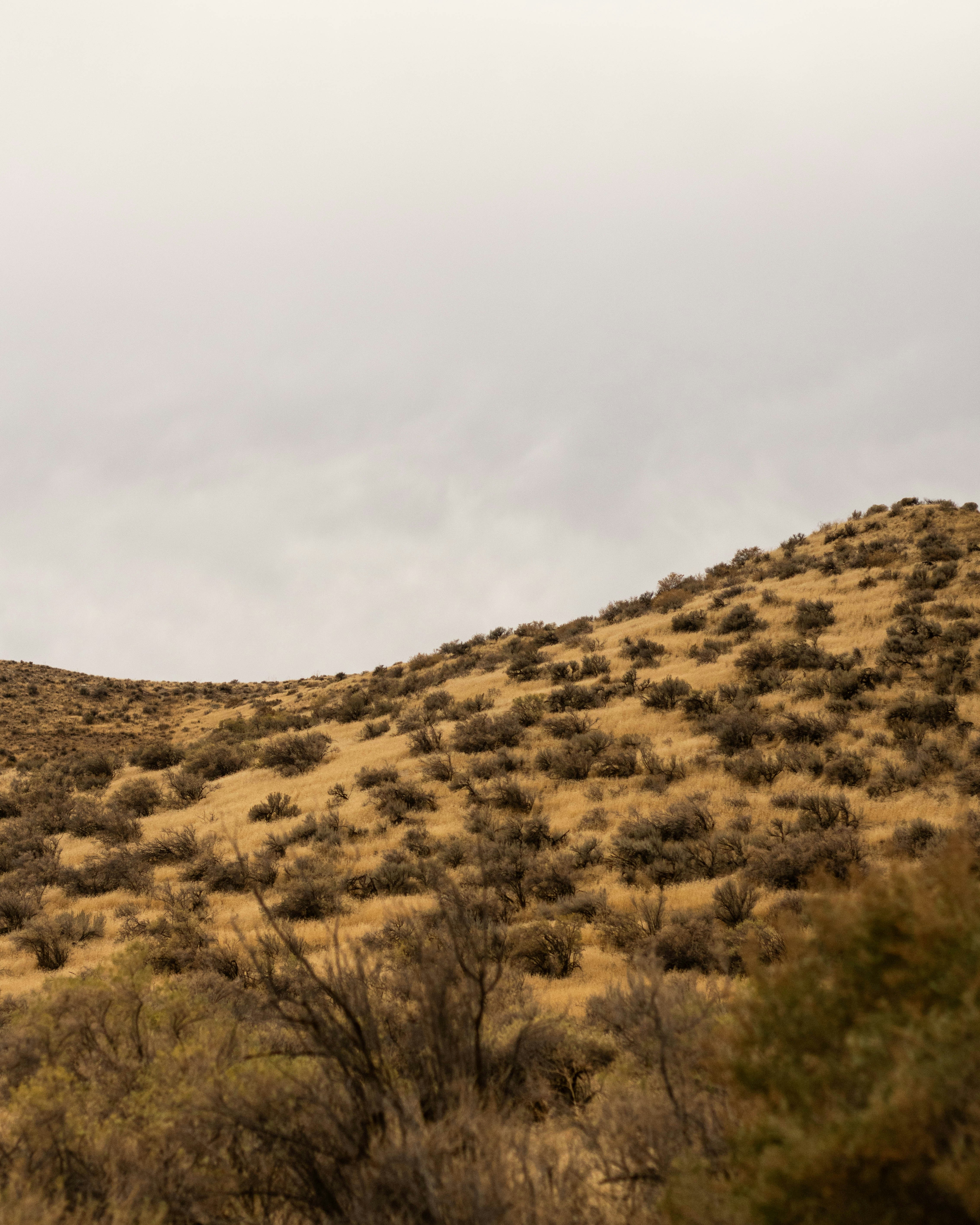 Photo by blakecheekk