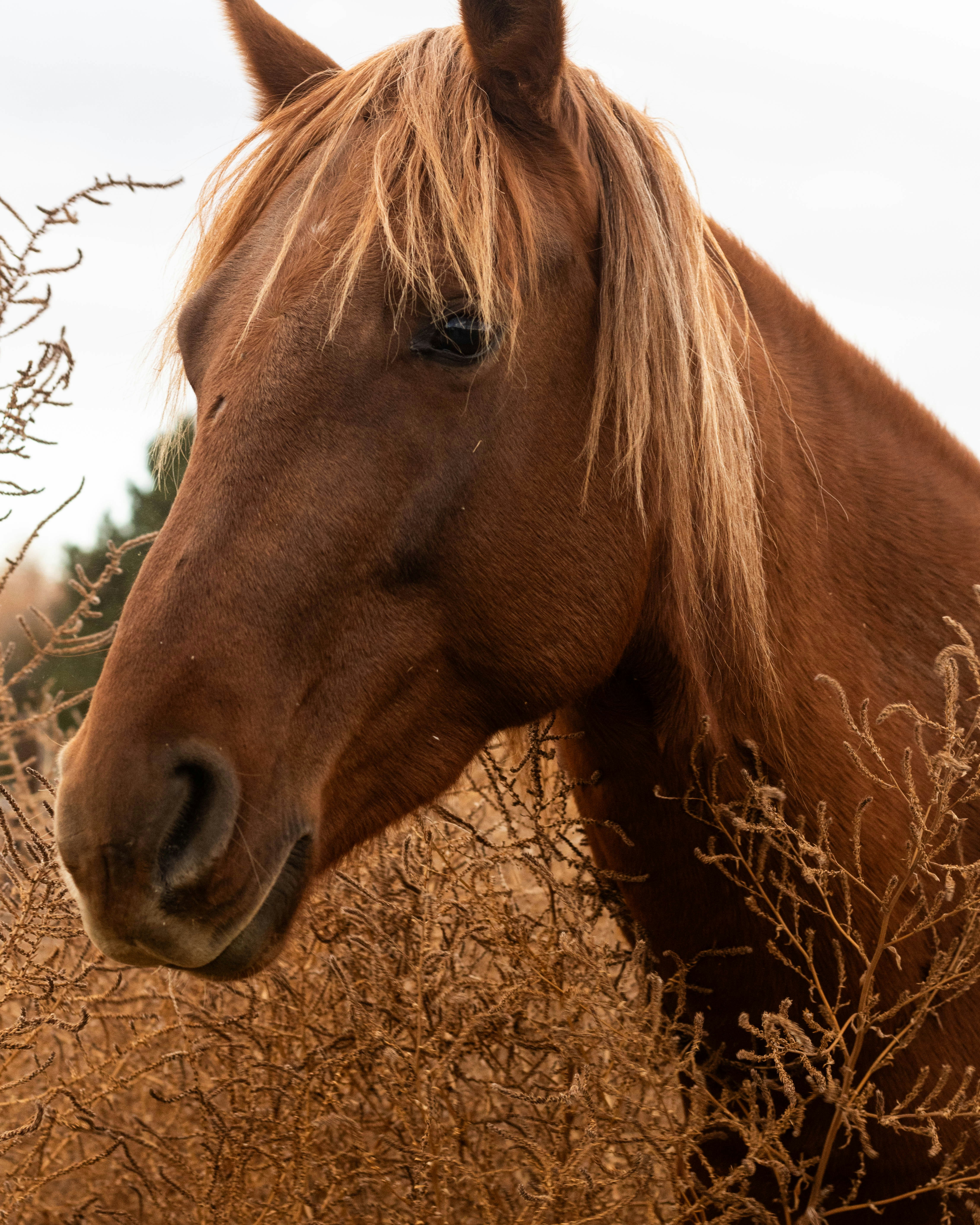 Photo by blakecheekk