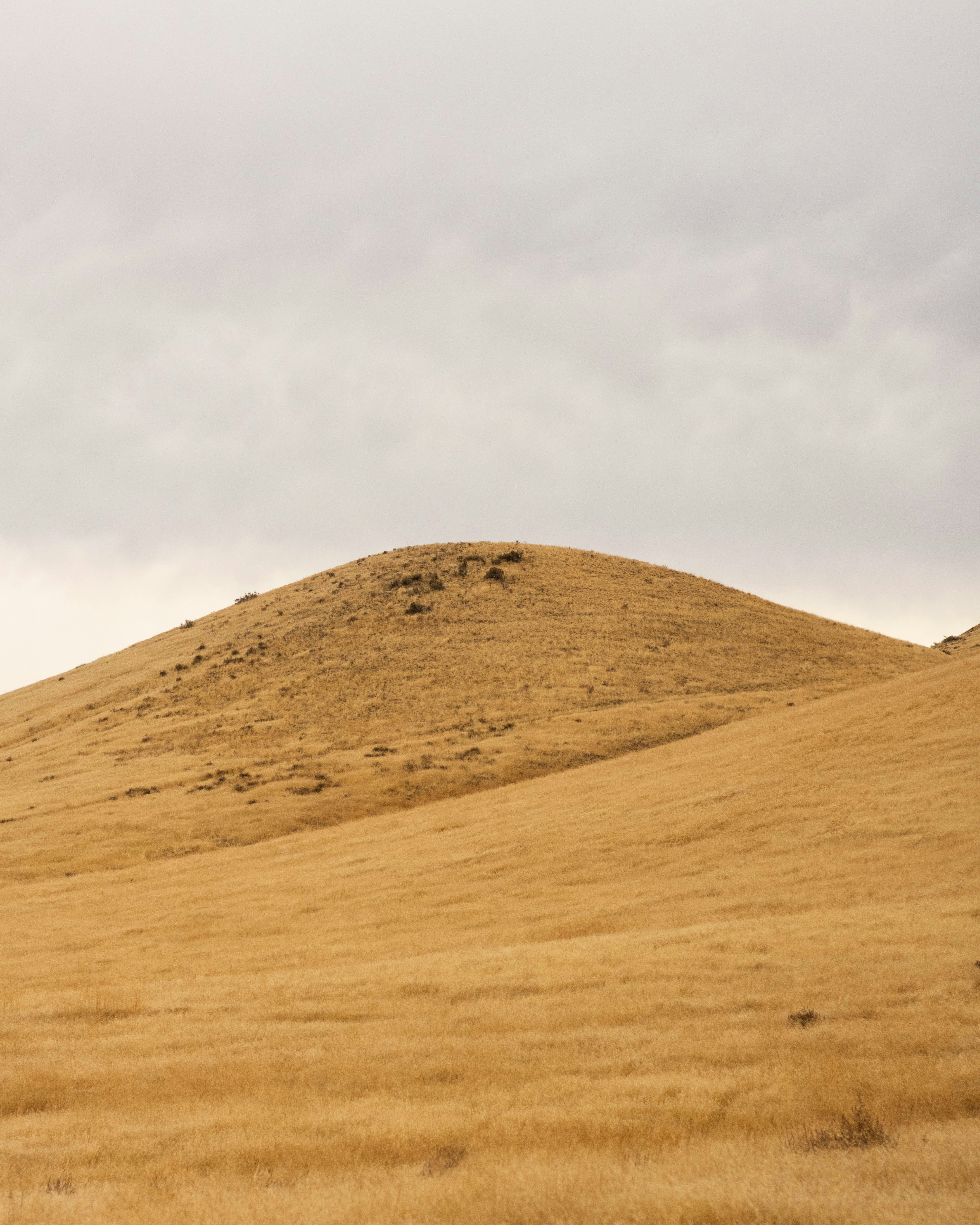 Photo by blakecheekk