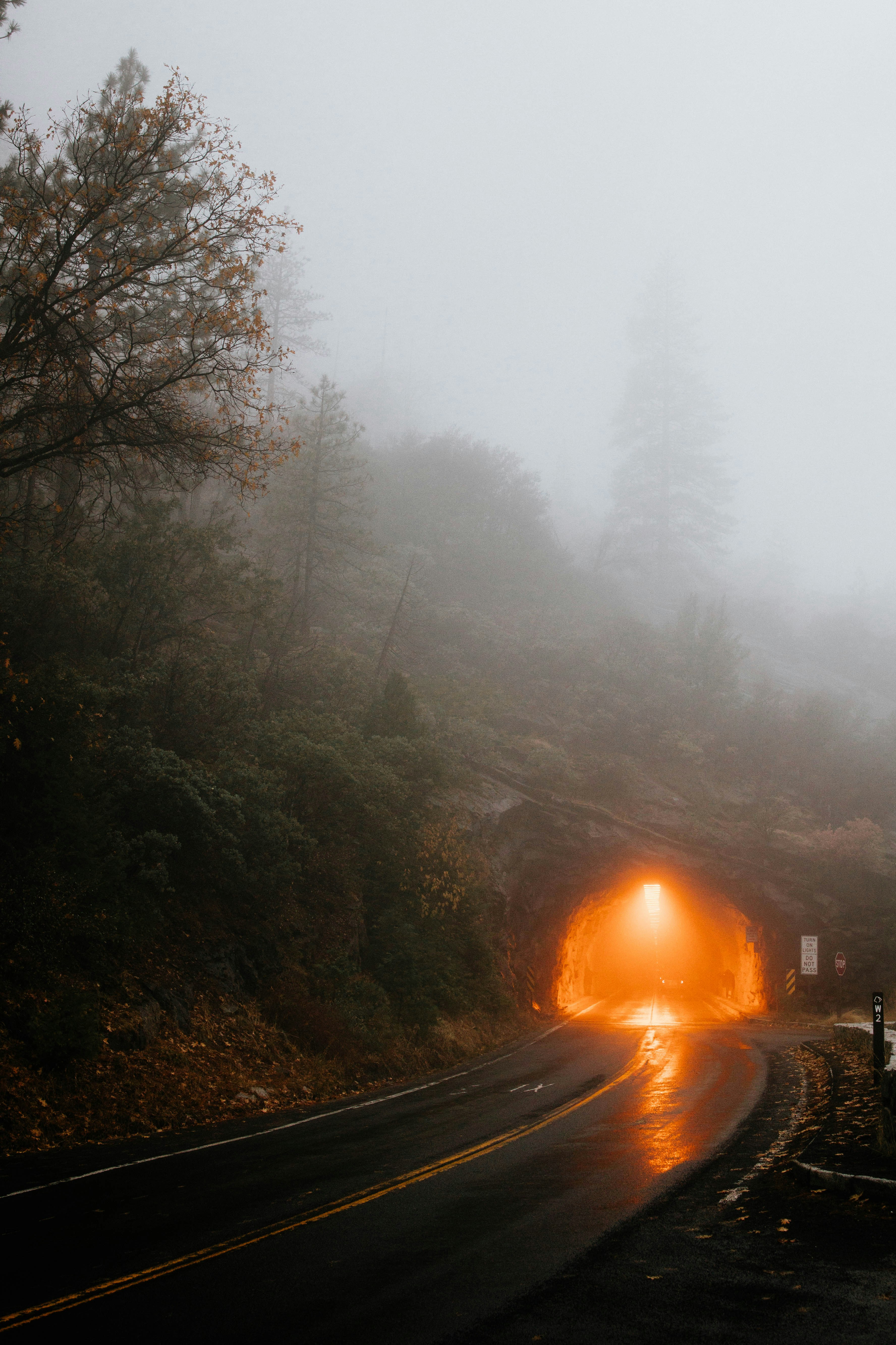 Eine neblige Straße mit einem Licht am Ende