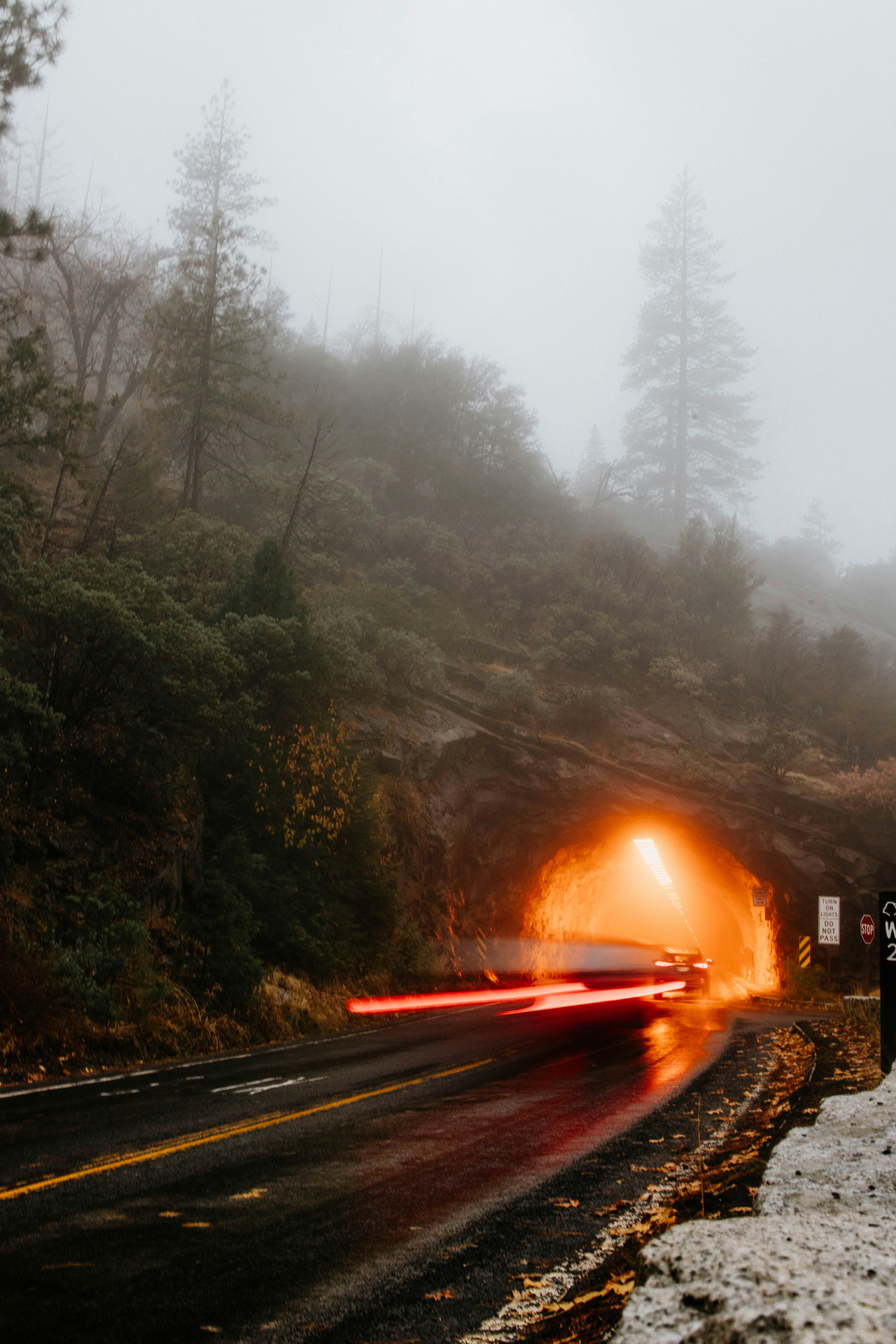 Ein Auto, das im Nebel eine Straße entlangfährt