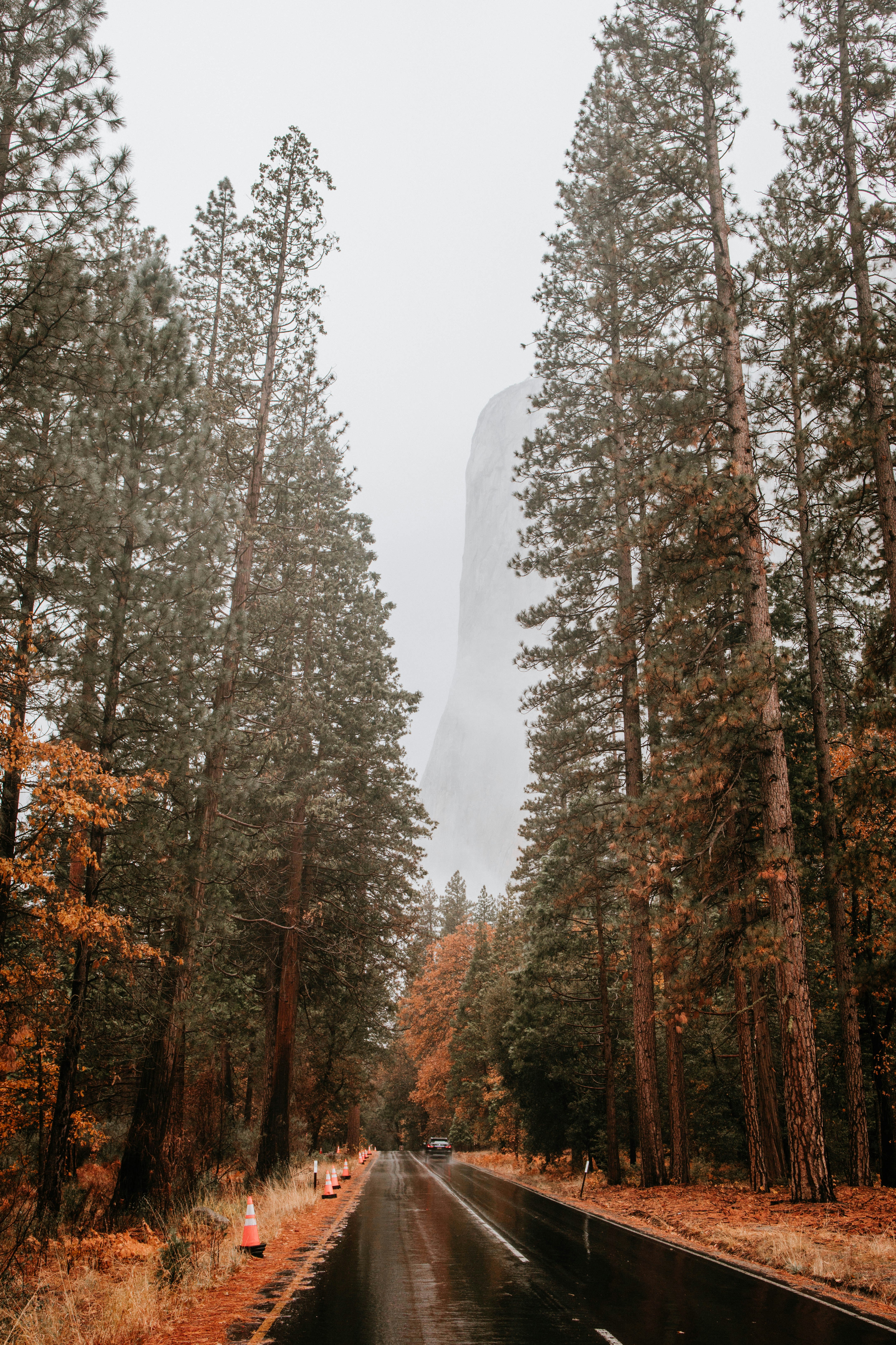 Eine nasse Straße mitten im Wald