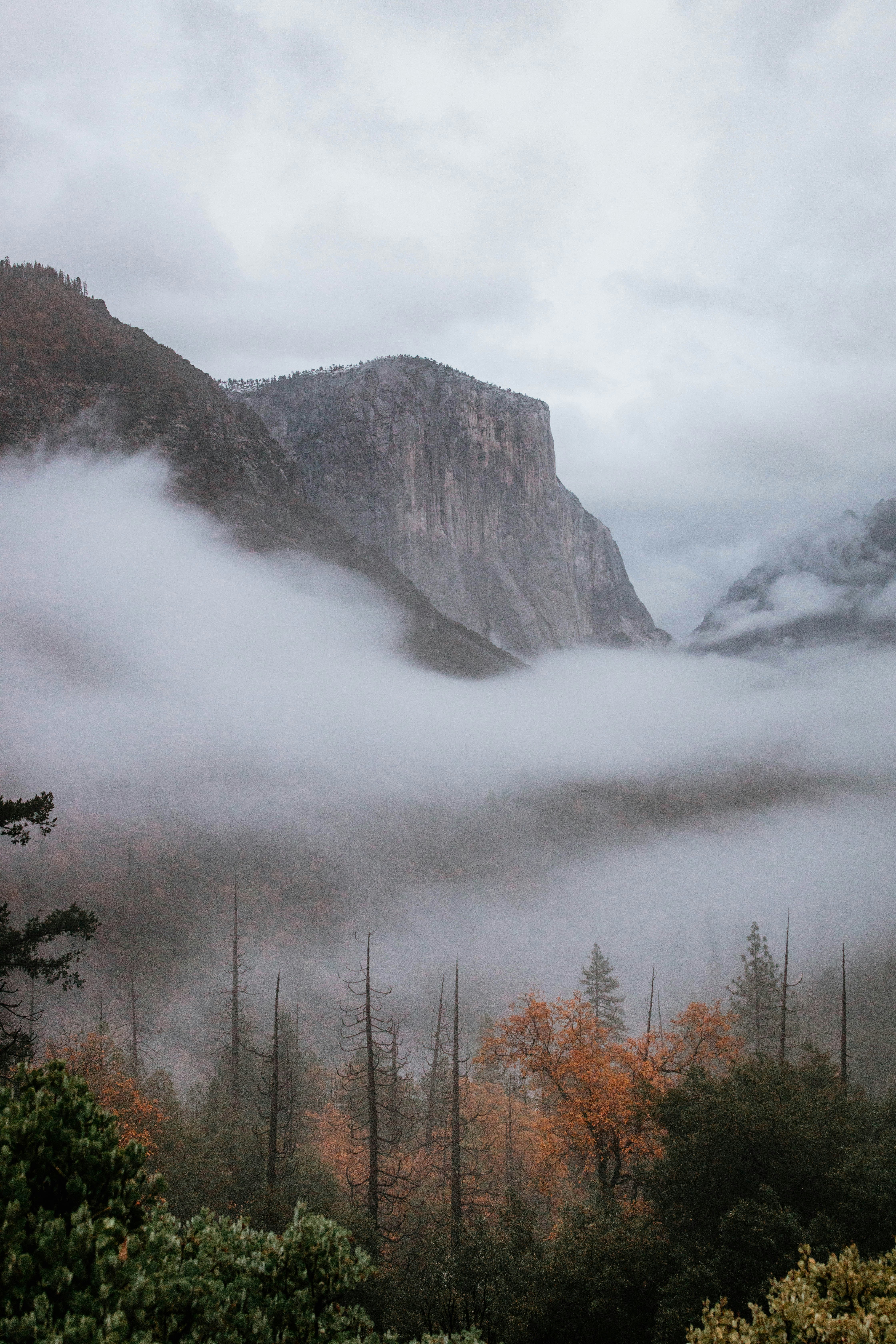 Ein nebelverhangener Berg mit Bäumen im Vordergrund