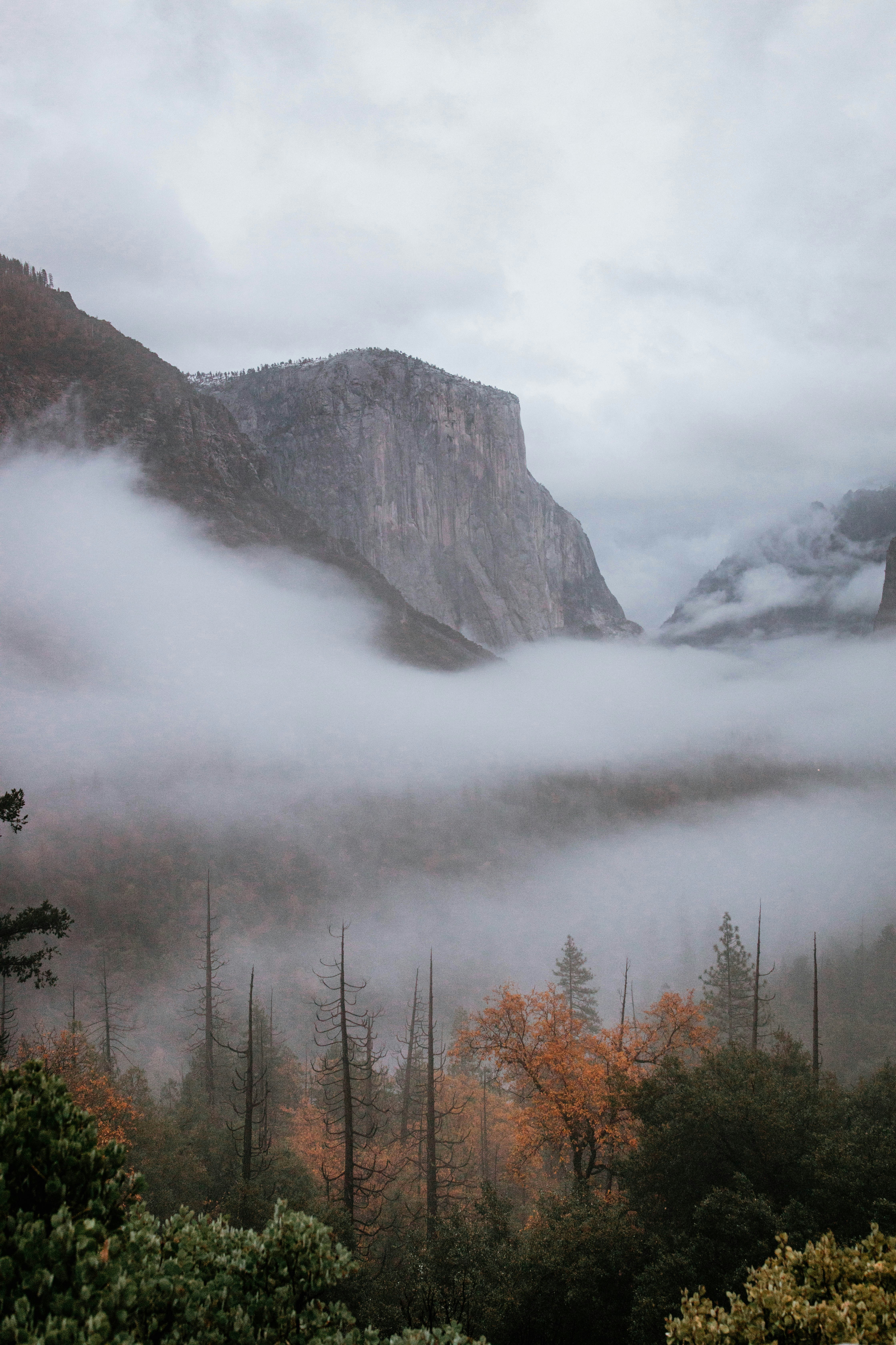 Ein nebliges Tal mit Bergen im Hintergrund