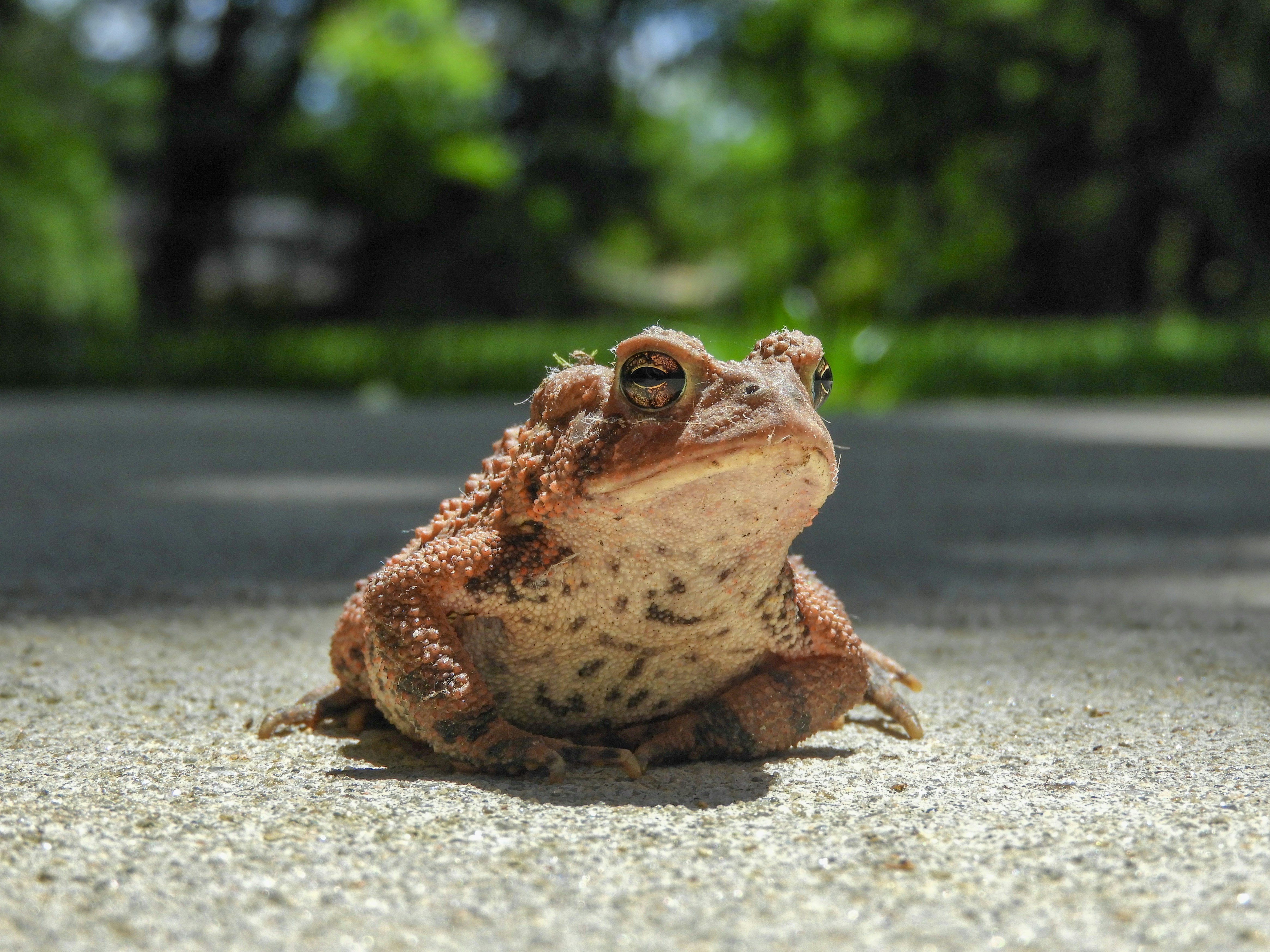 Photo by peterjmarshall