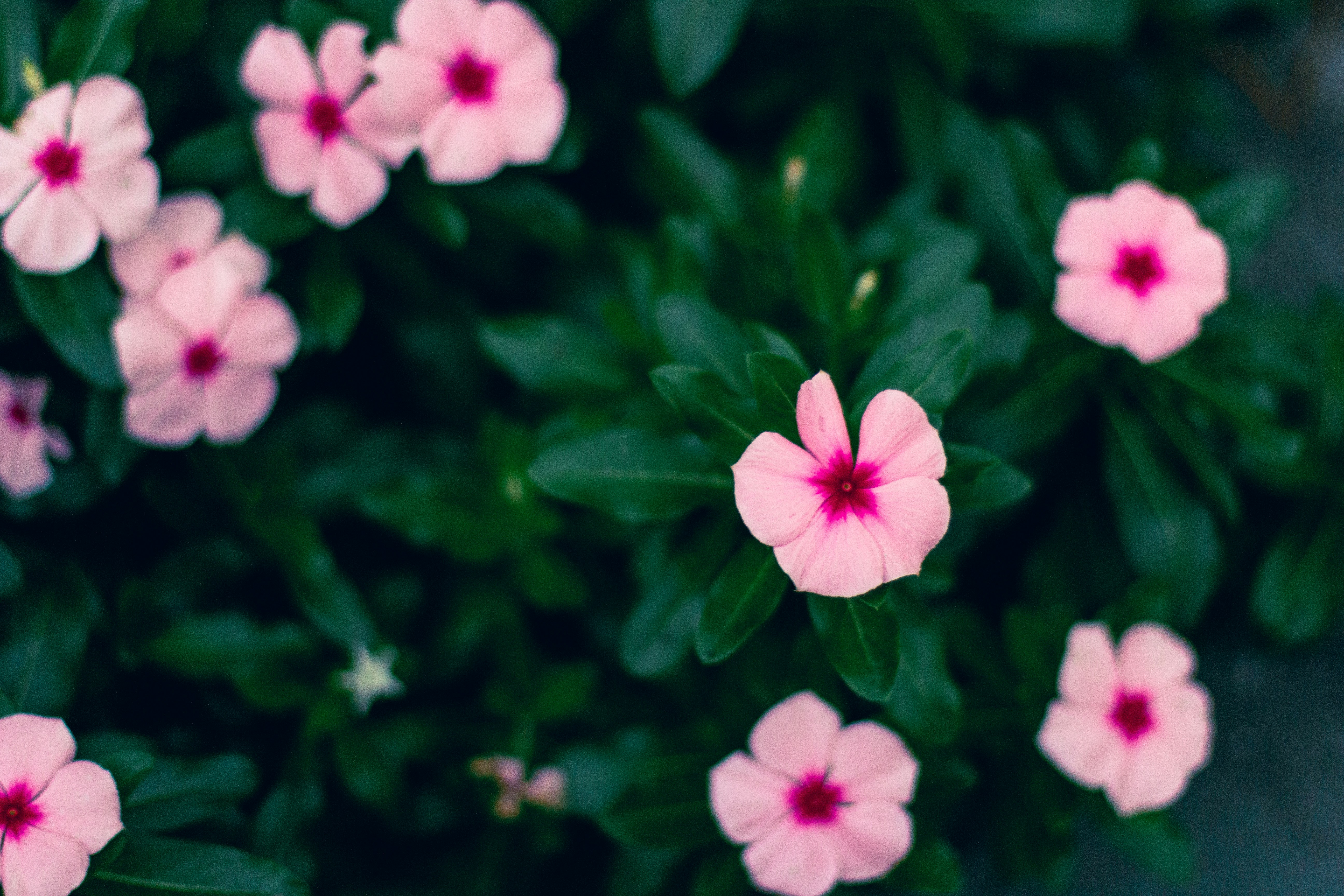 Photo by jadekoroliuk