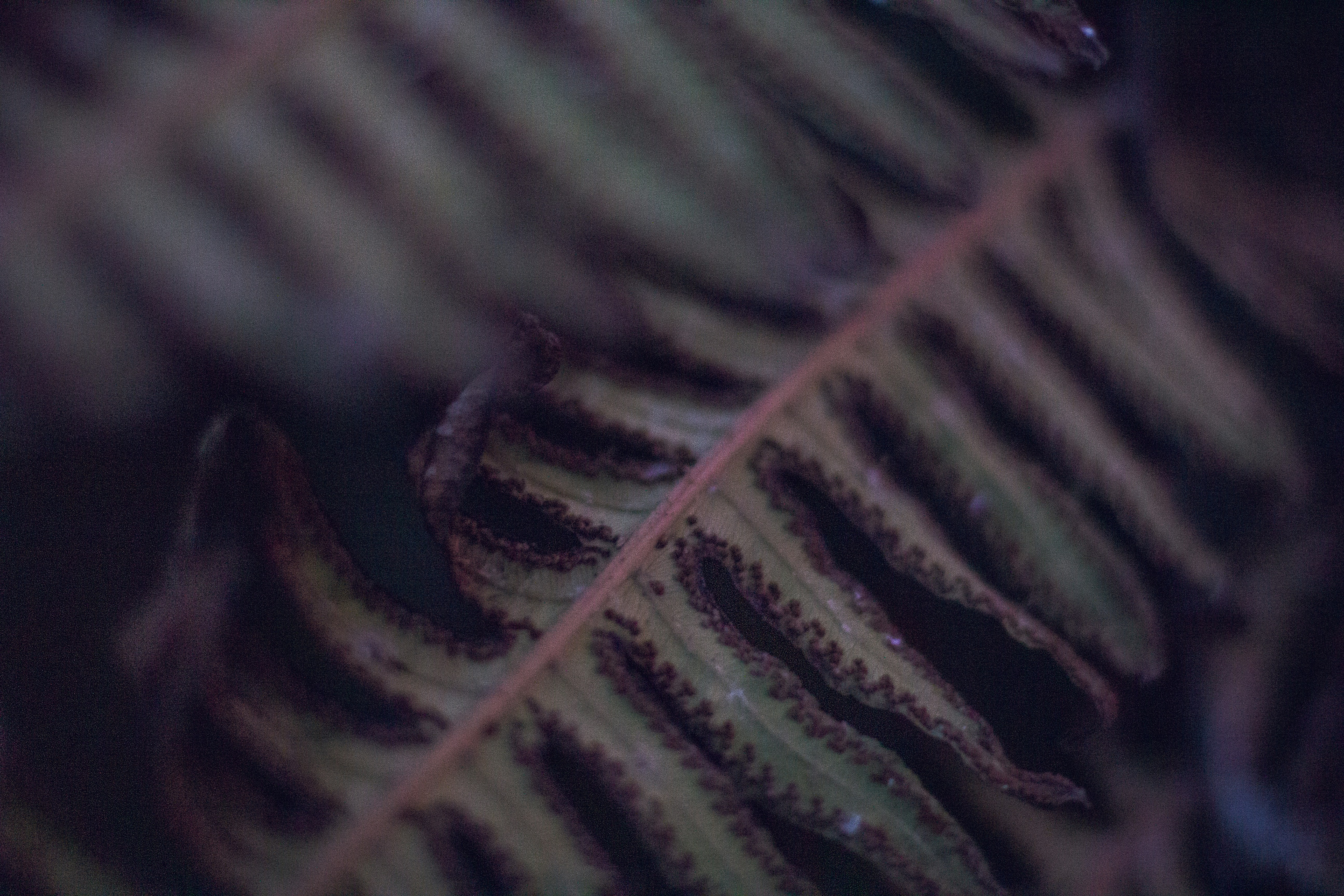 Photo by jadekoroliuk