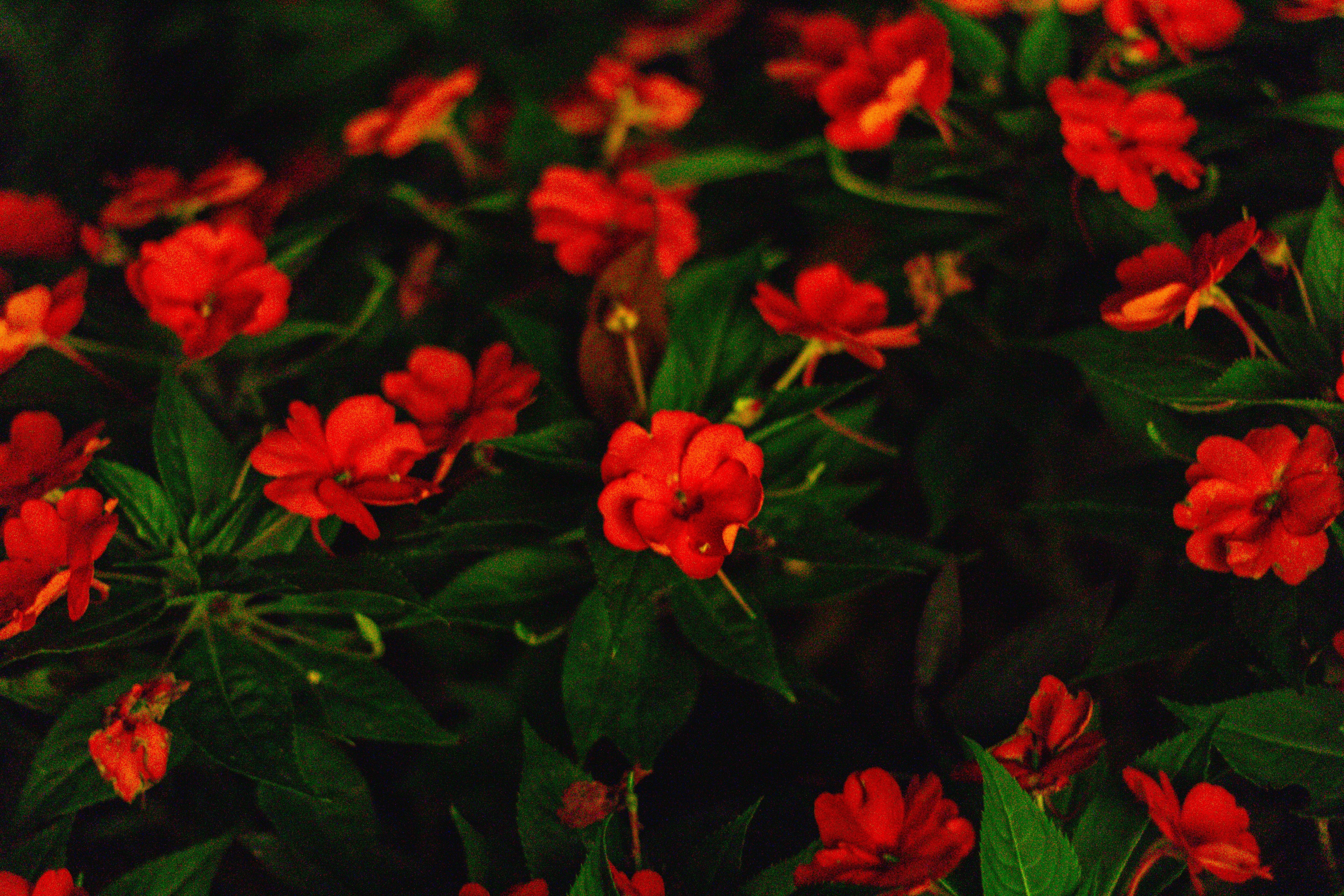 Photo by jadekoroliuk