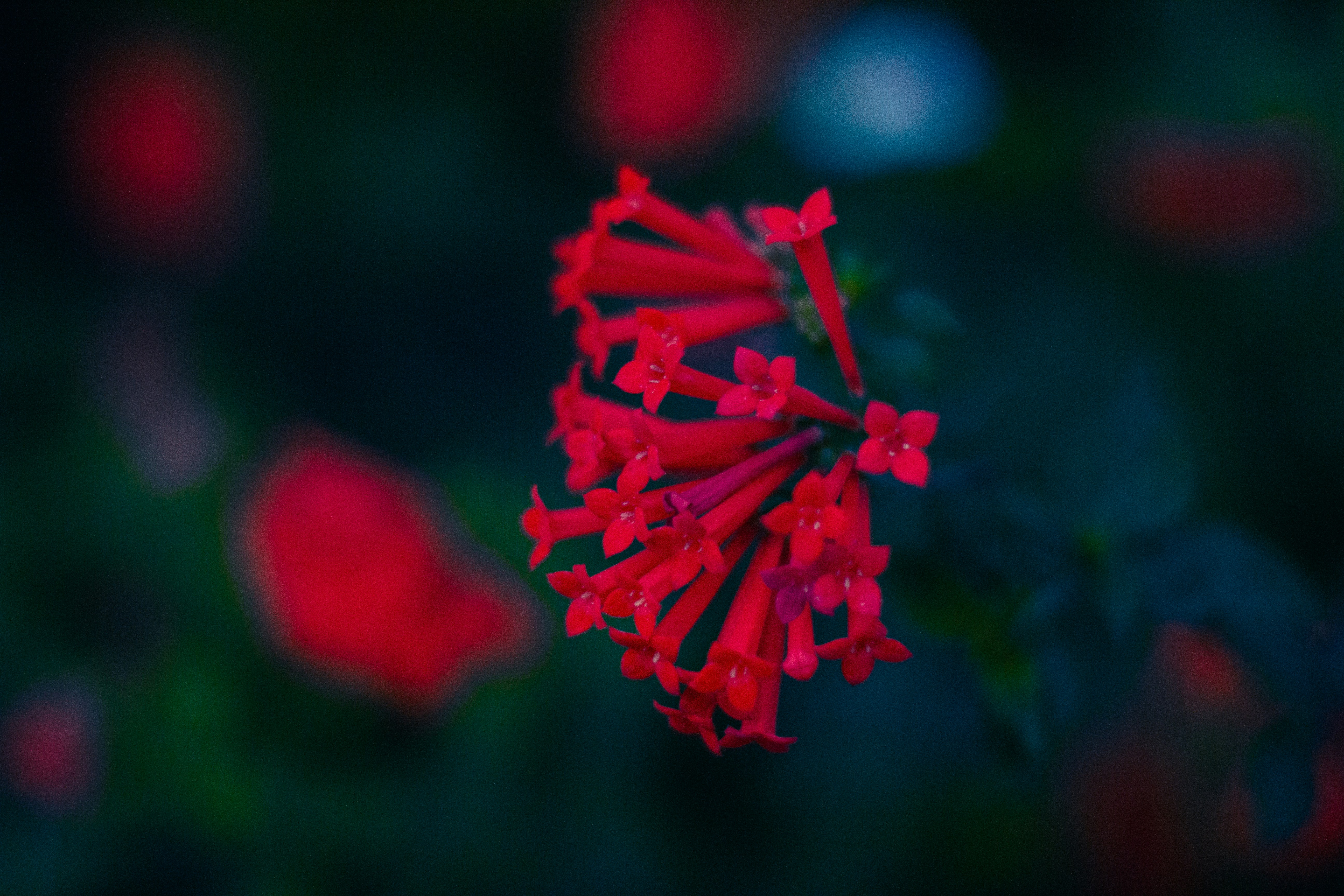 Photo by jadekoroliuk