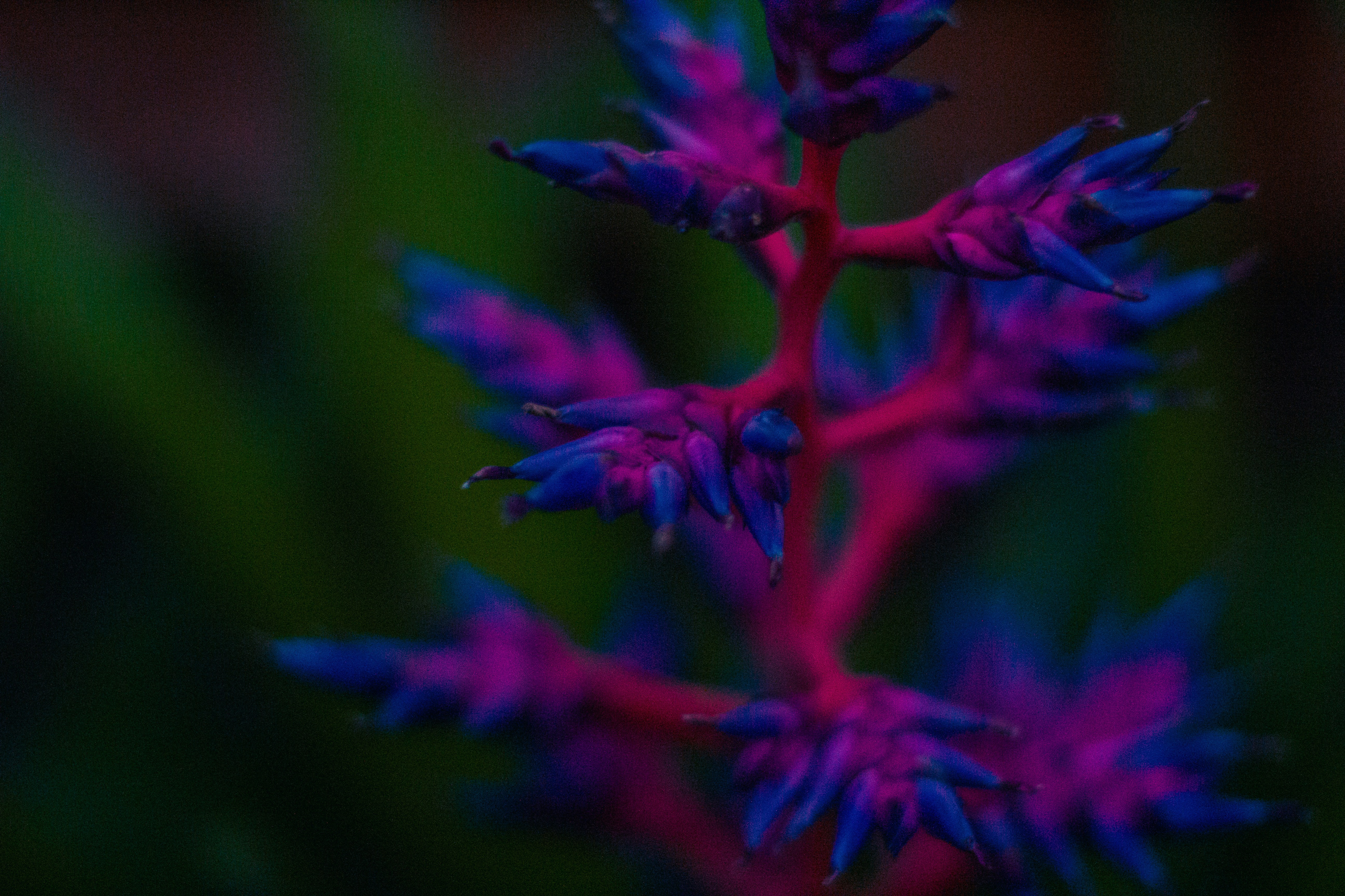 Photo by jadekoroliuk