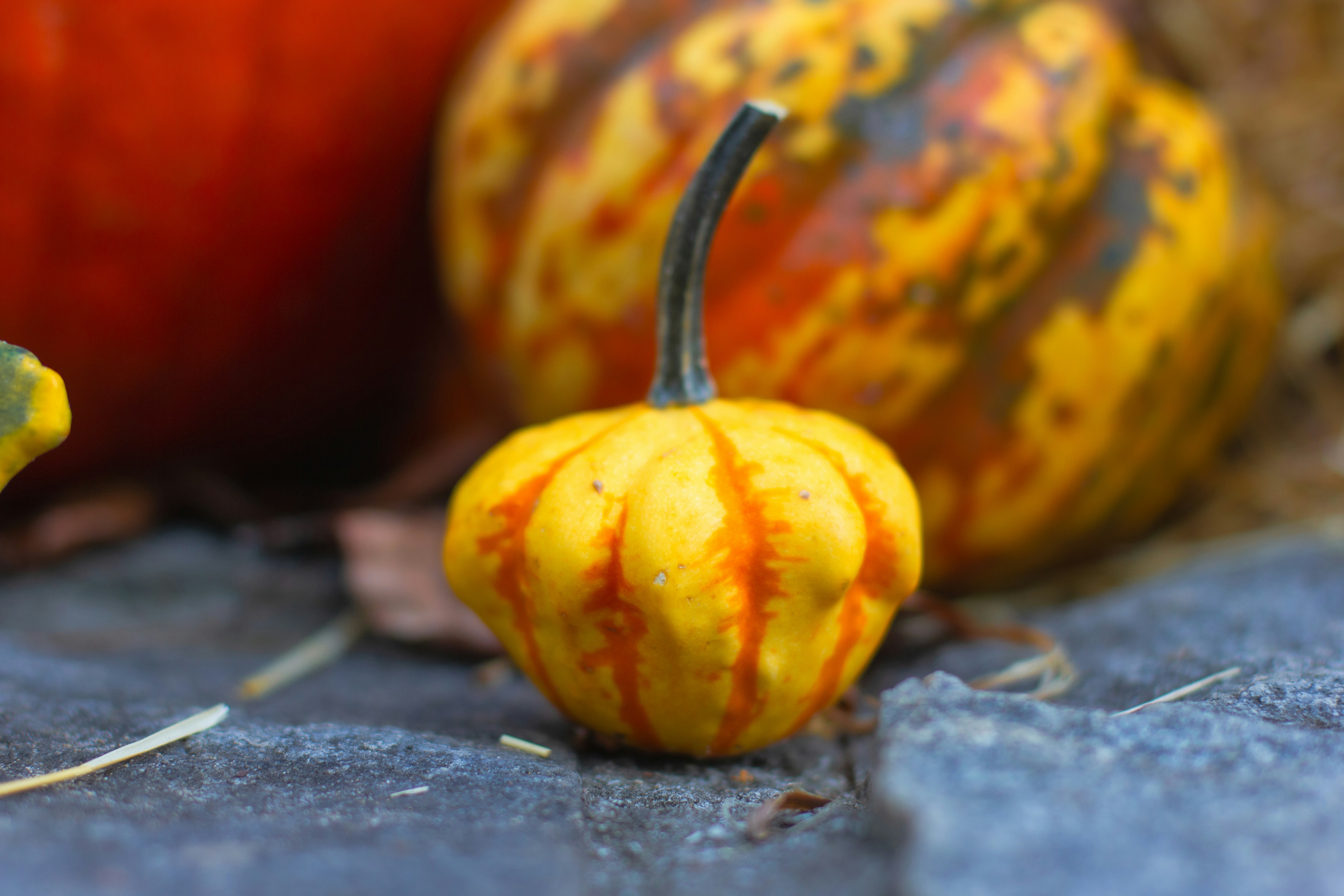 Photo by jadekoroliuk