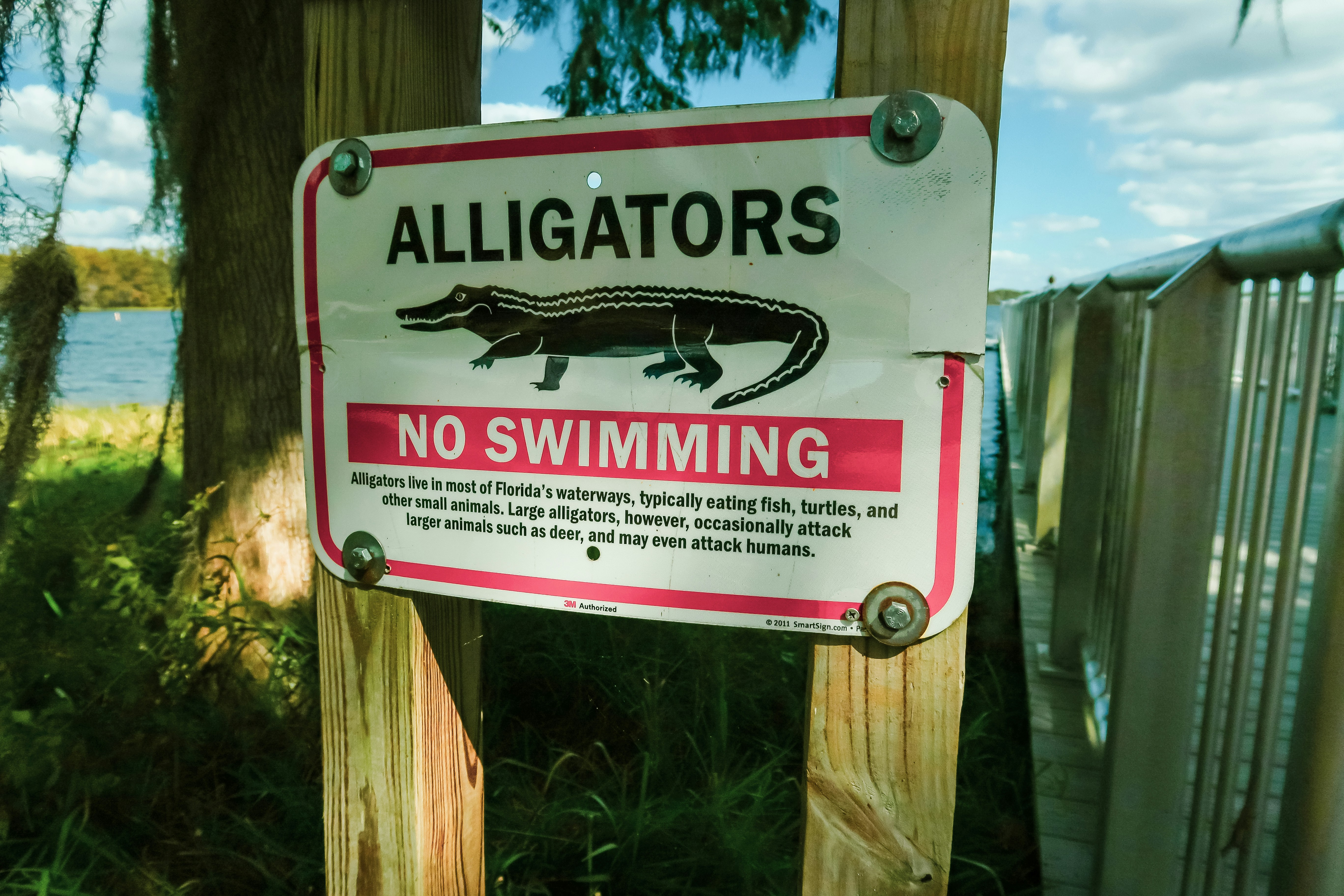 Alligators and Adventures: The Complete Wildlife Travel Guide to Tampa