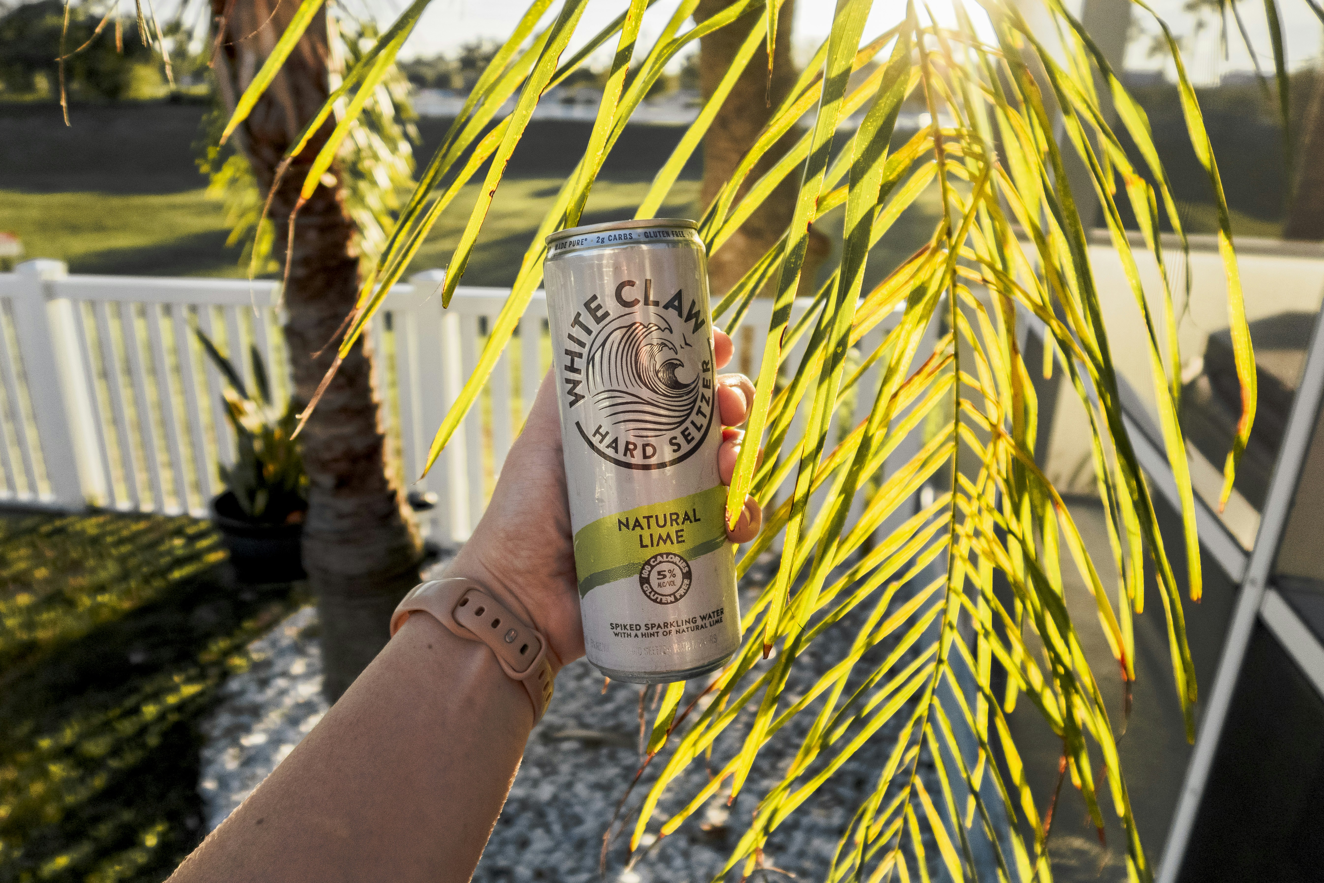 Una persona sosteniendo una lata de cerveza frente a una palmera