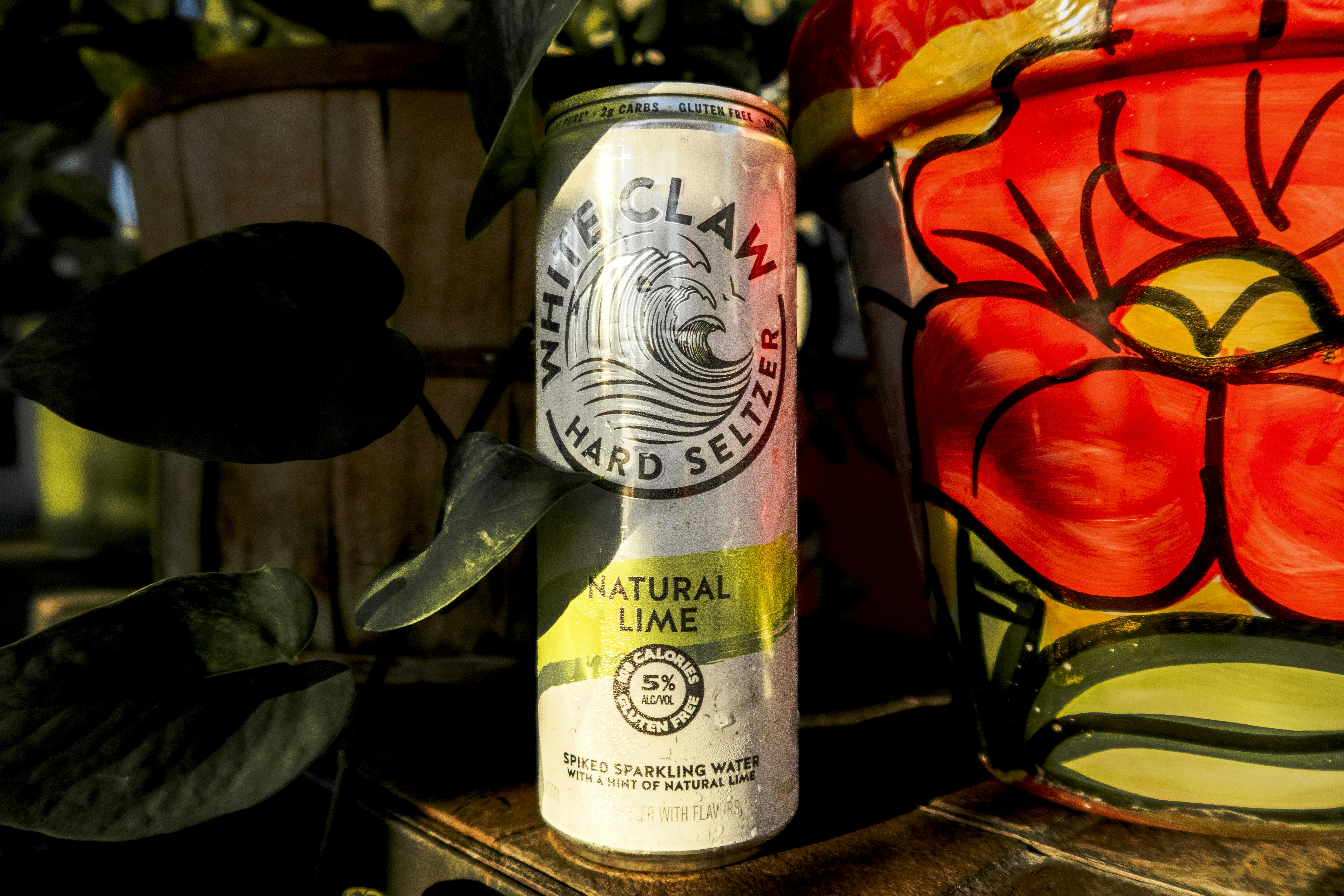 Una lata de cerveza junto a una planta en maceta