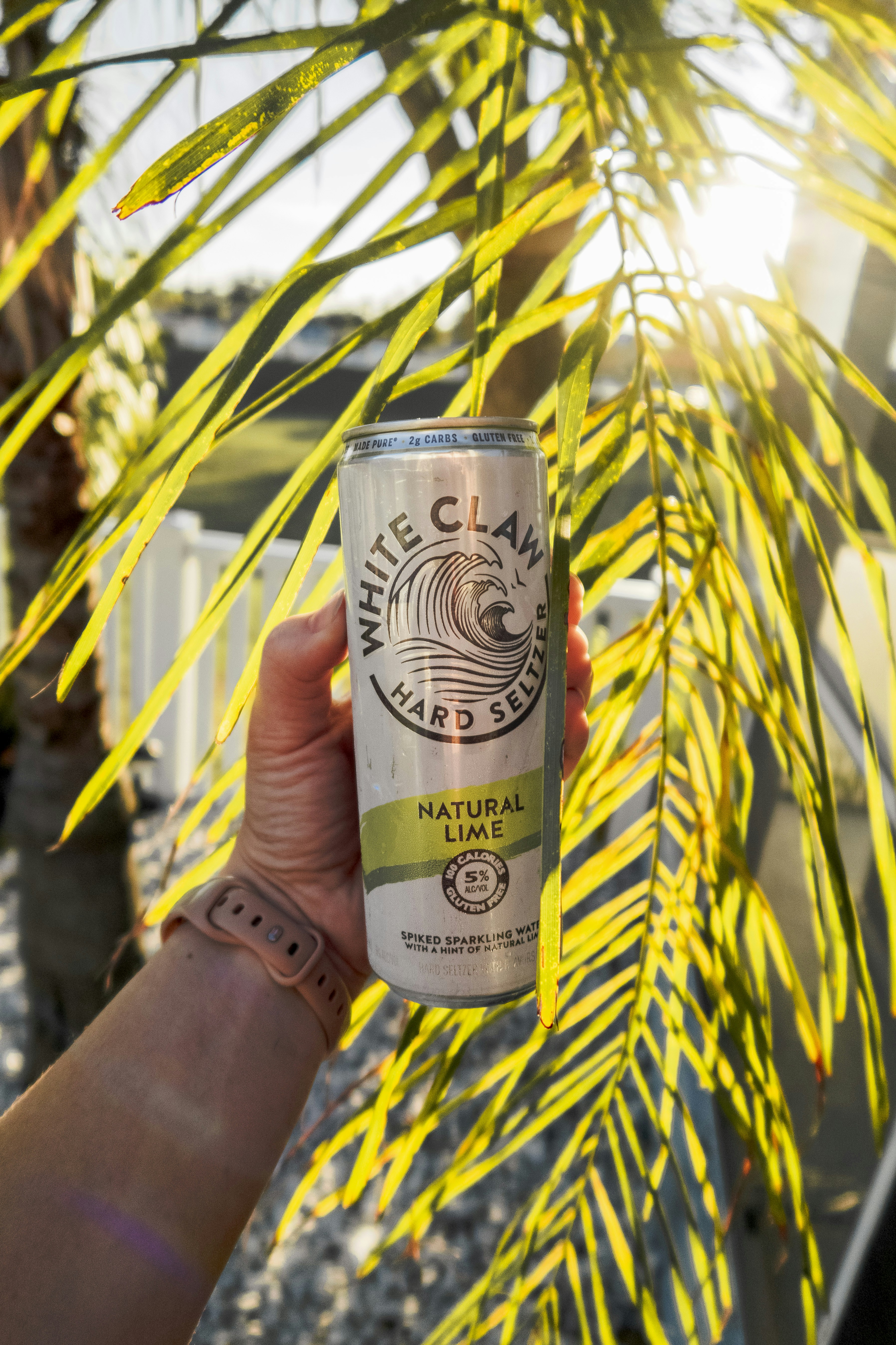 Una persona sosteniendo una lata de cerveza frente a una palmera