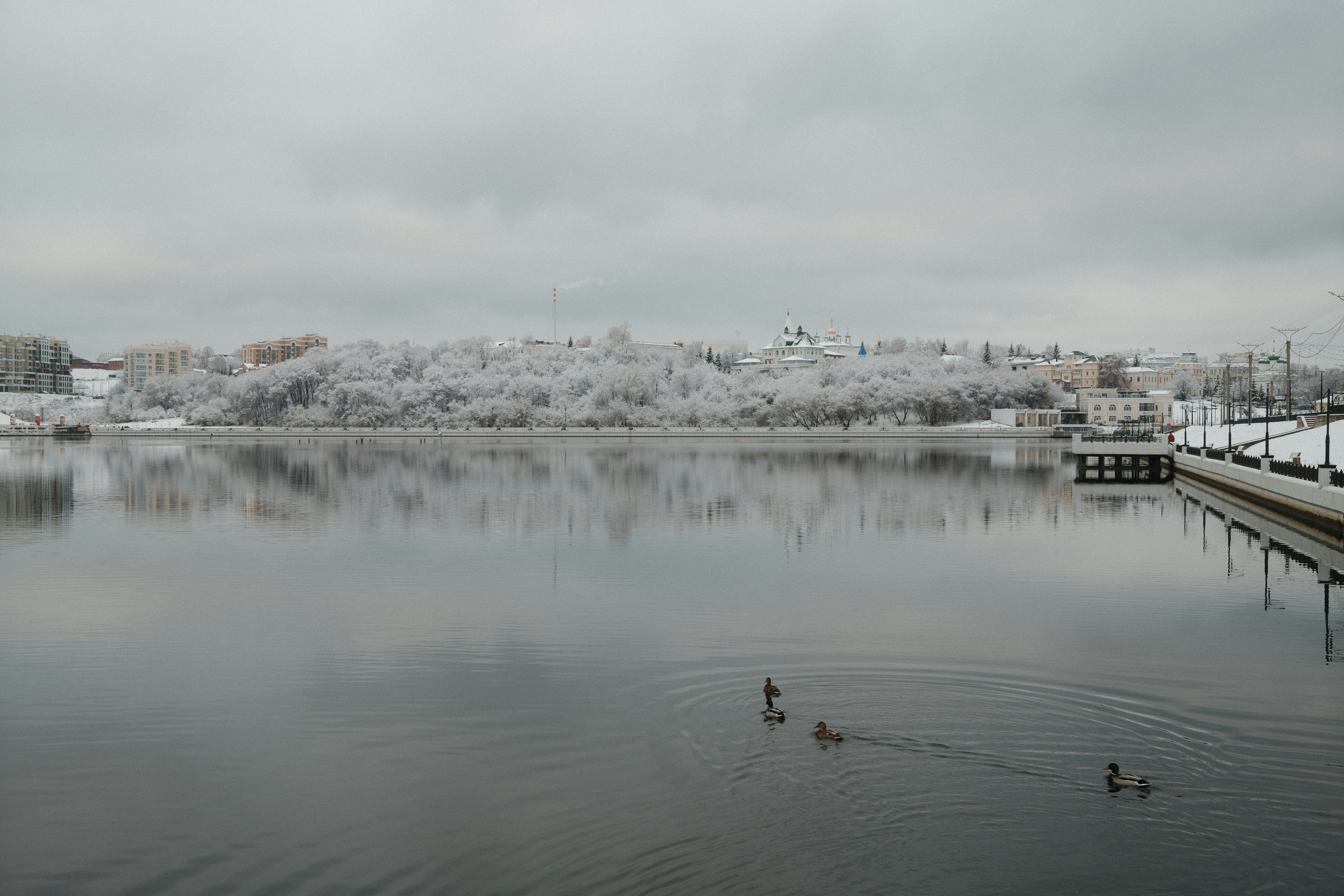 Photo by daniilty