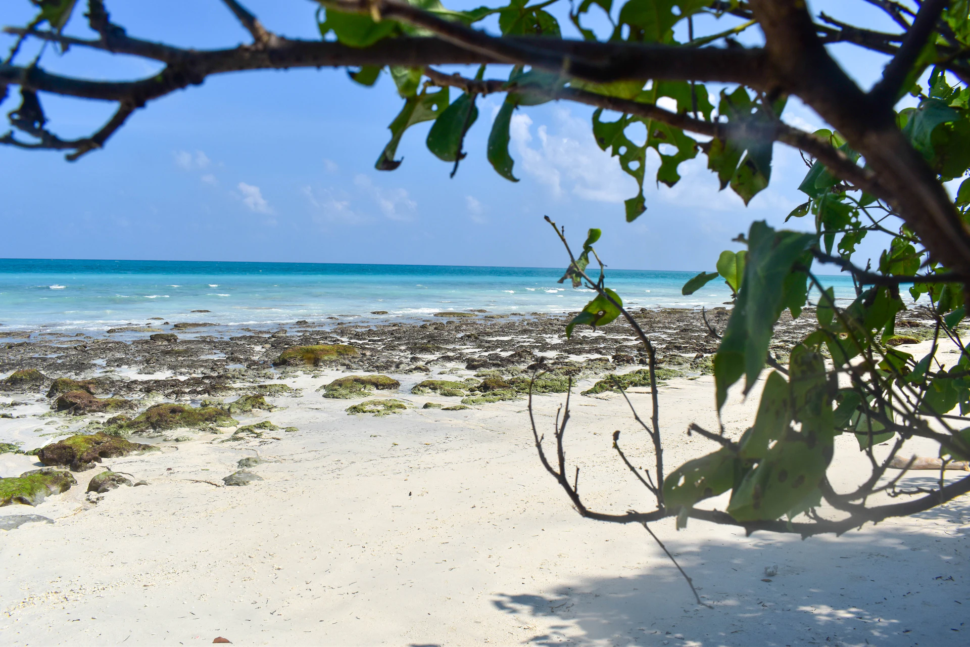 Havelock Island, Andaman