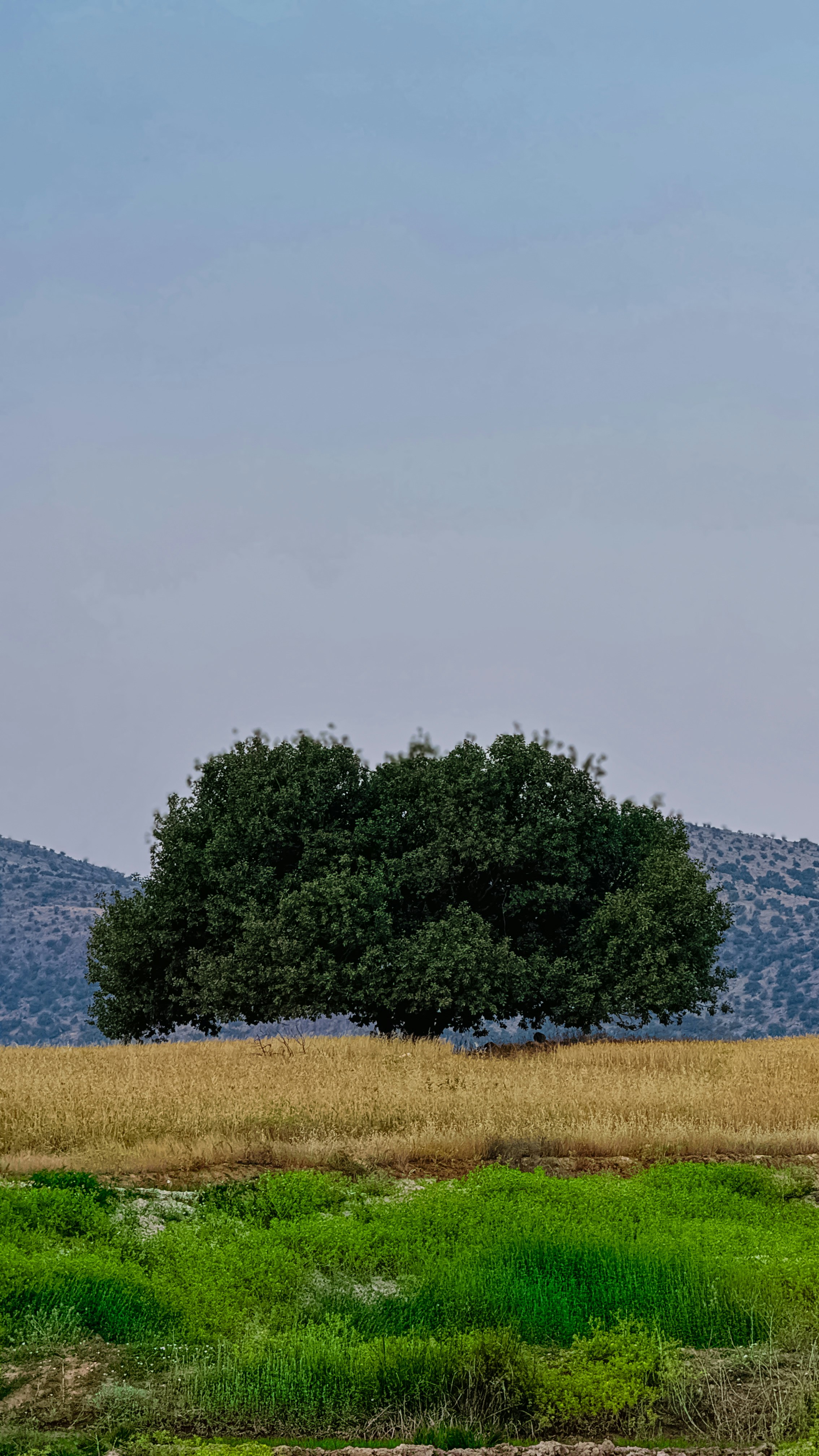 Photo by maverick777