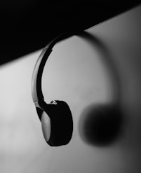 A black and white photo of a pair of headphones