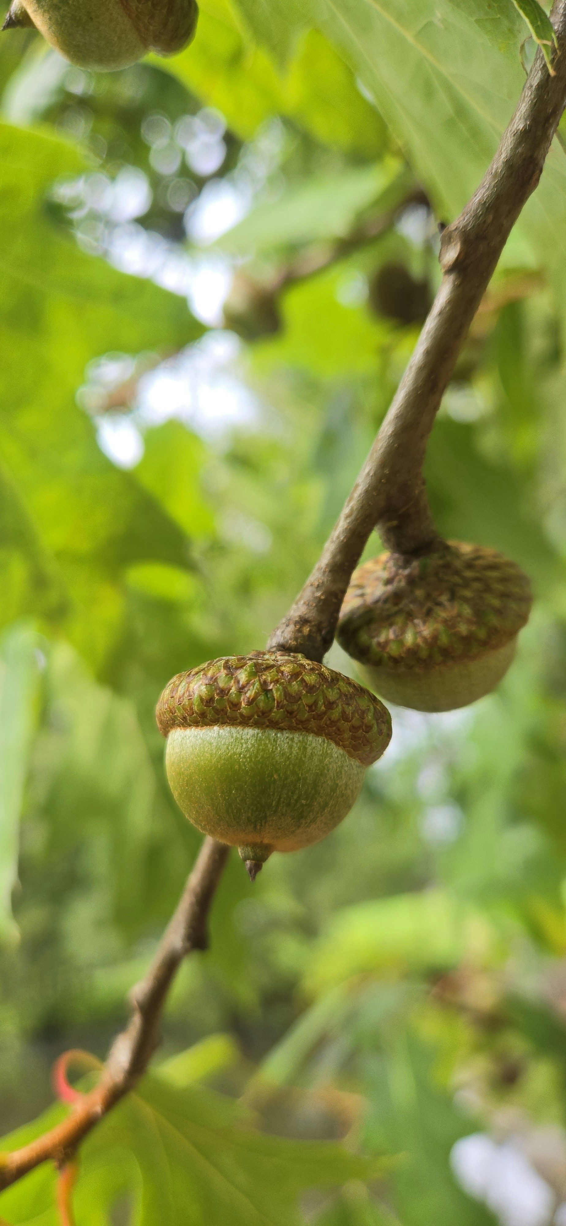 Photo by seaofthesaints