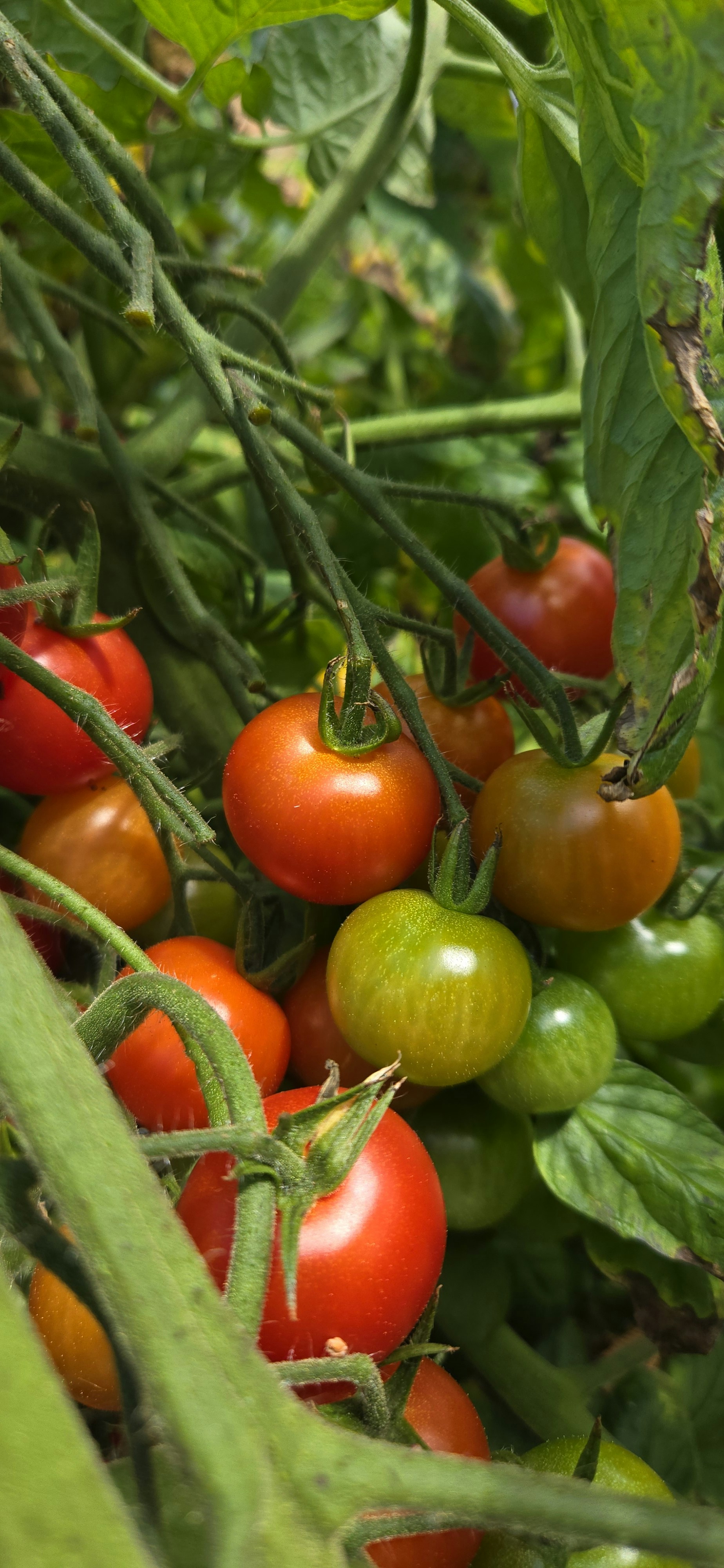 Photo by seaofthesaints