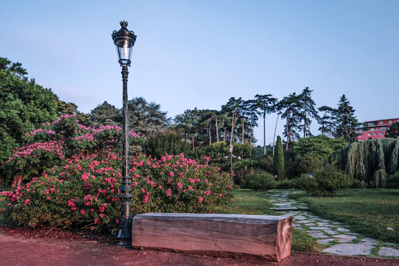 A wooden bench sitting in the middle of a park