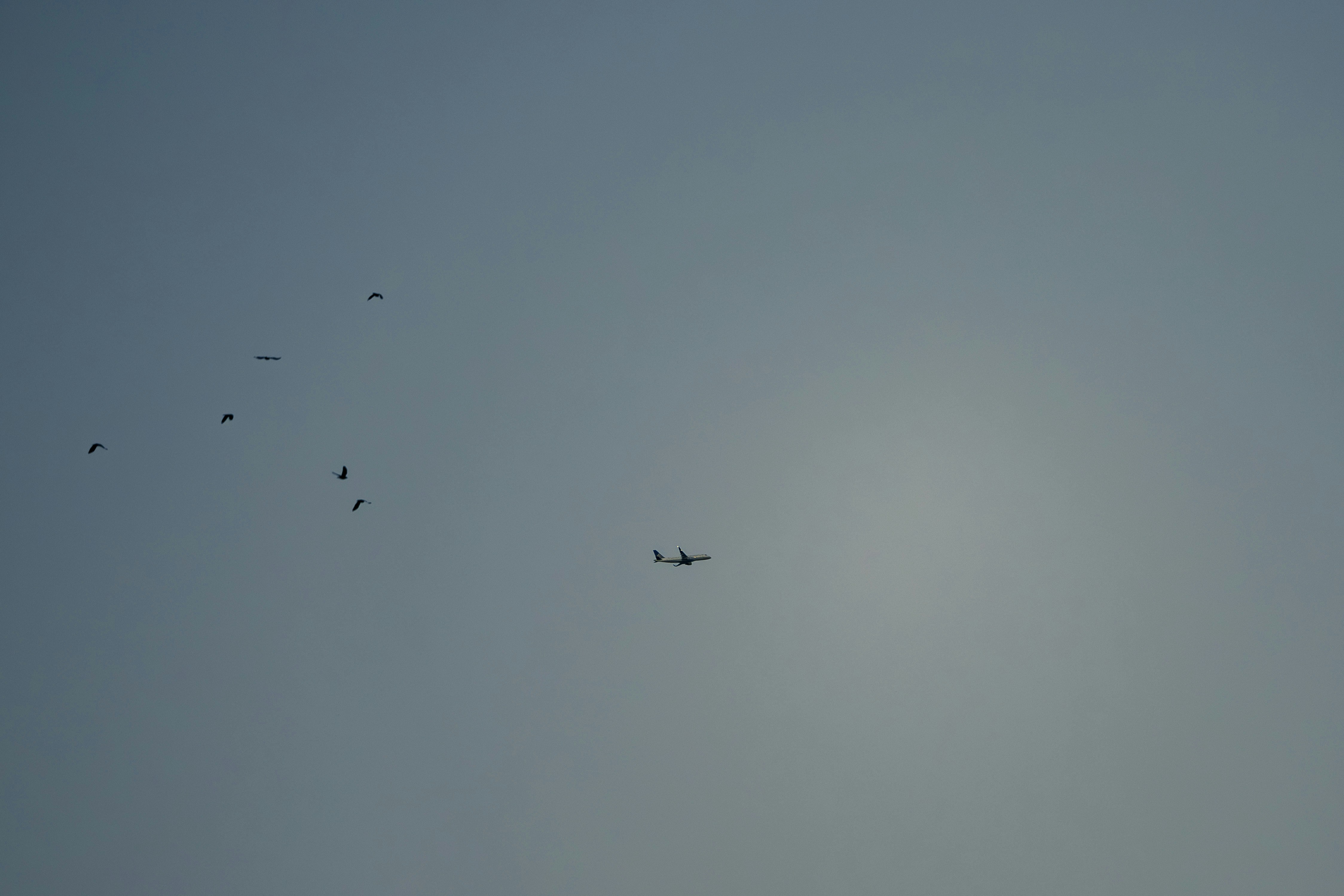 Photo by leo_visions_