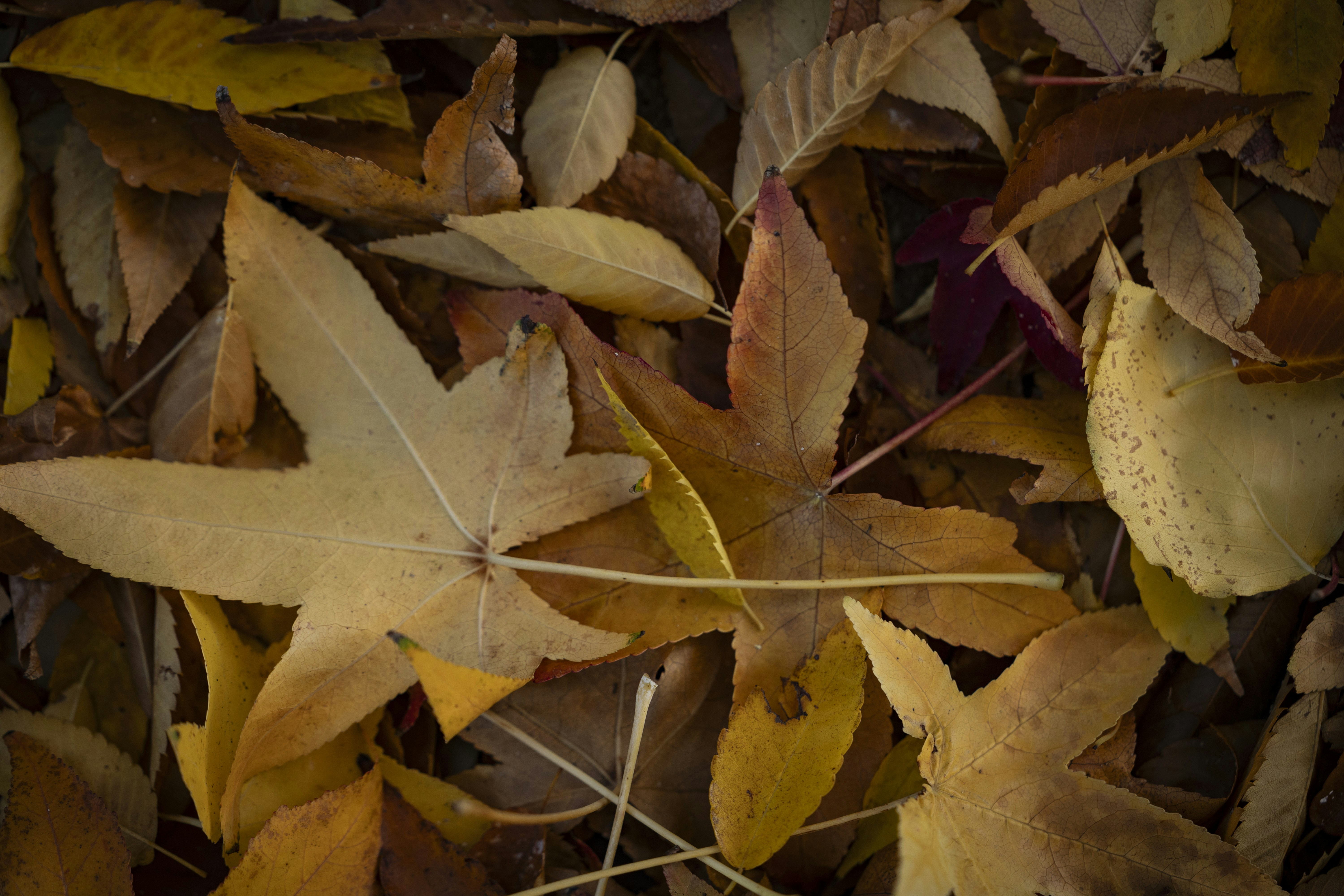 Photo by leo_visions_