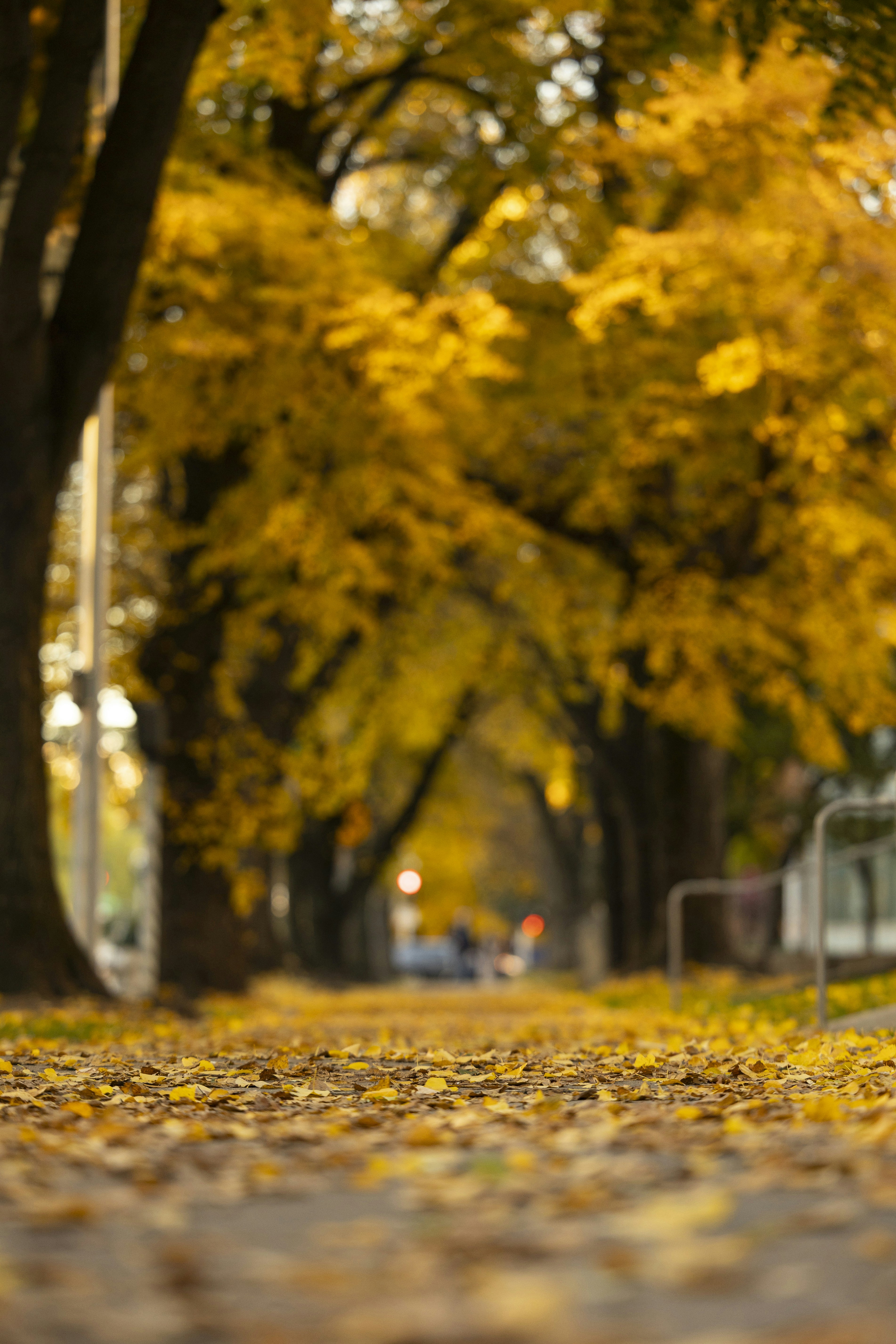 Photo by leo_visions_