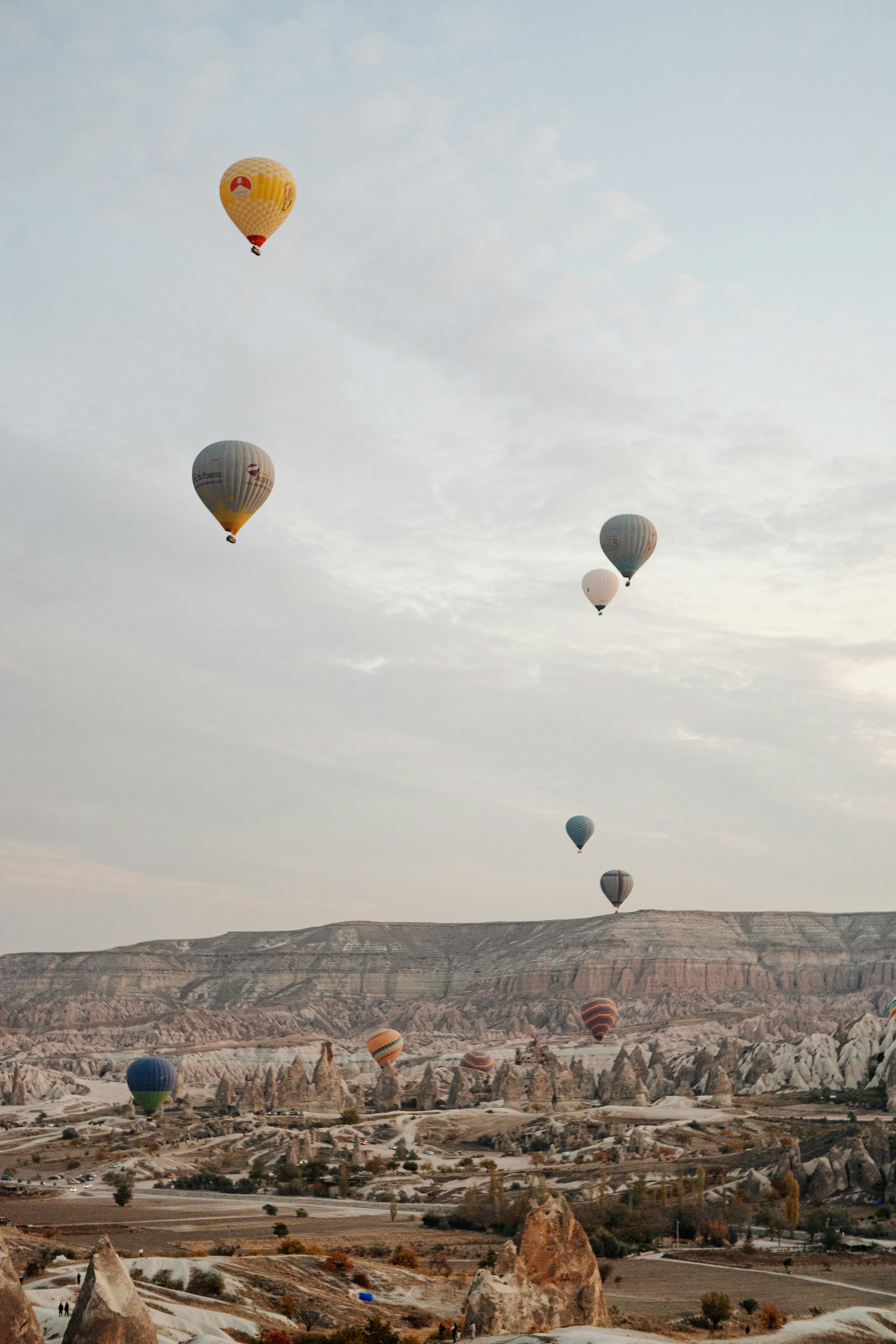 Photo by igorharrier