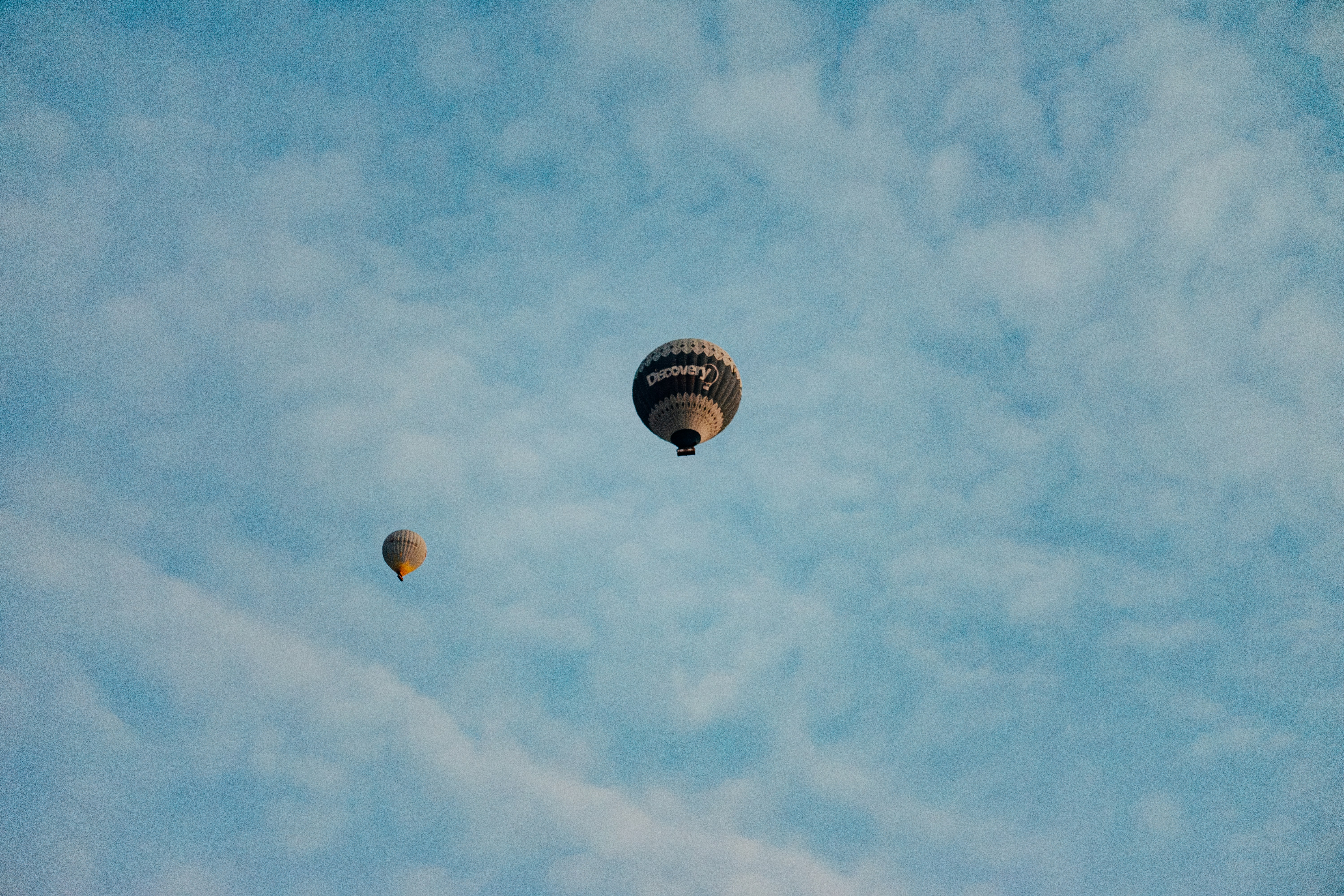 Photo by igorharrier