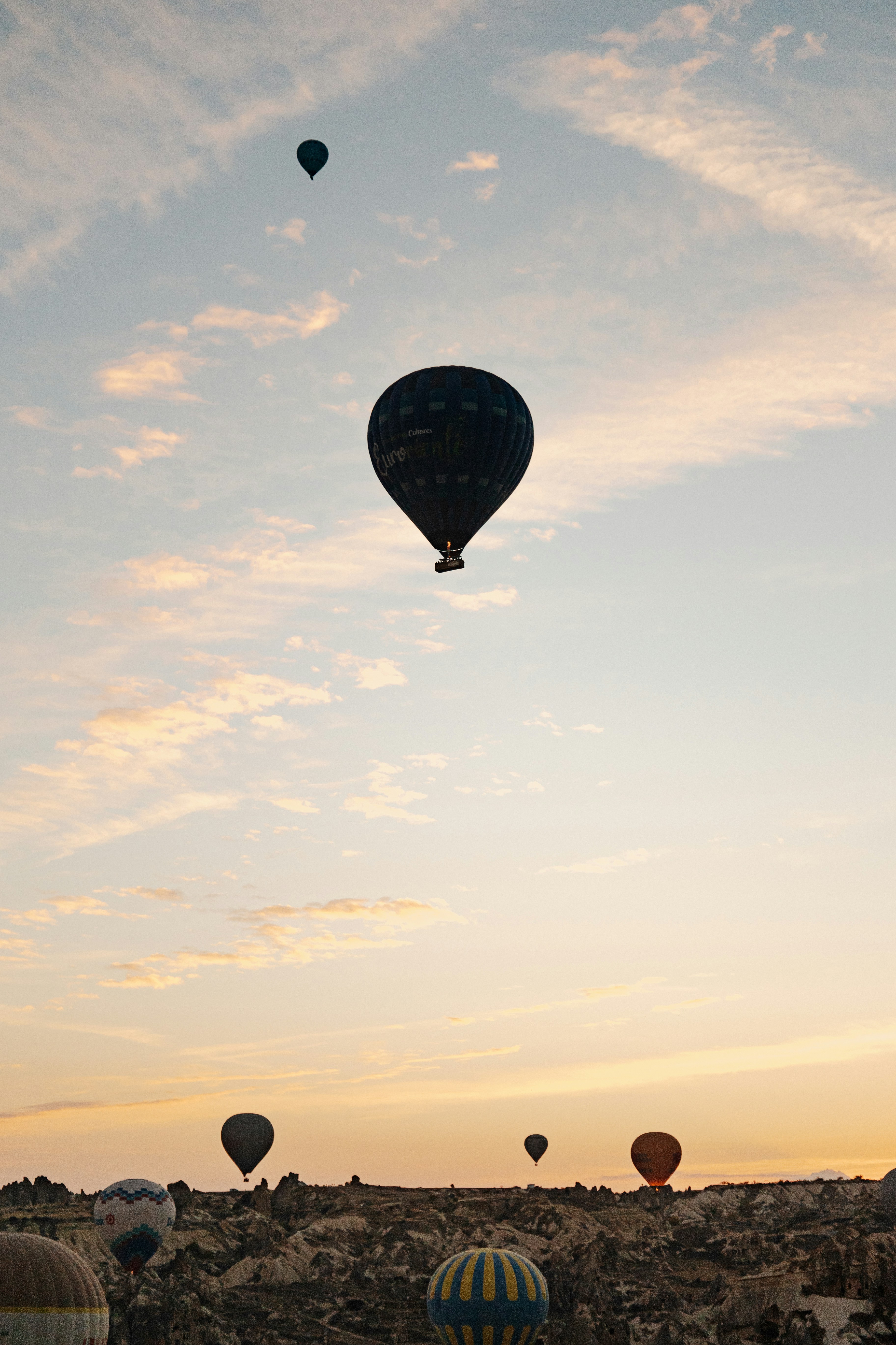 Photo by igorharrier