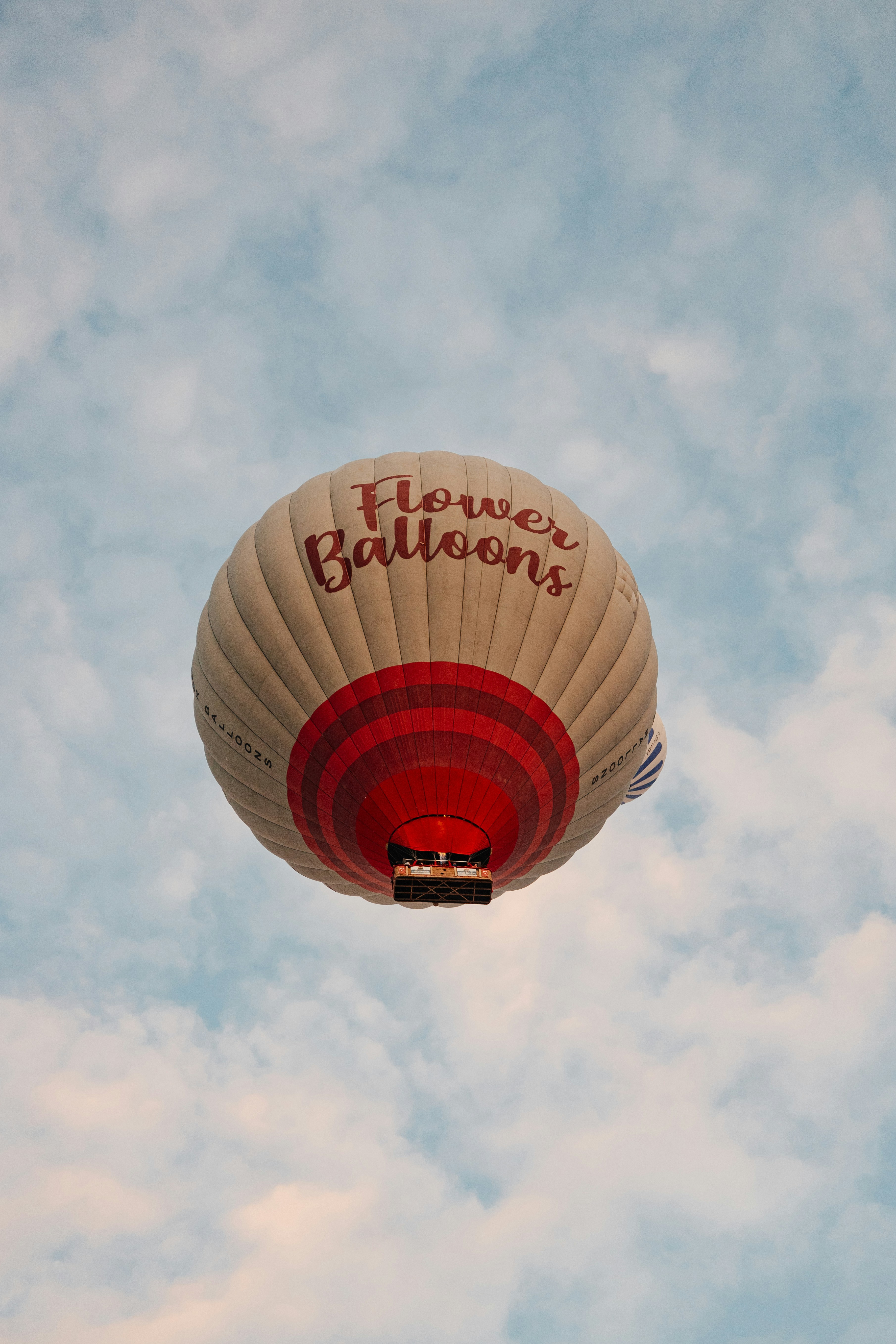 A hot air balloon flying through a cloudy blue sky photo – Free Travel ...