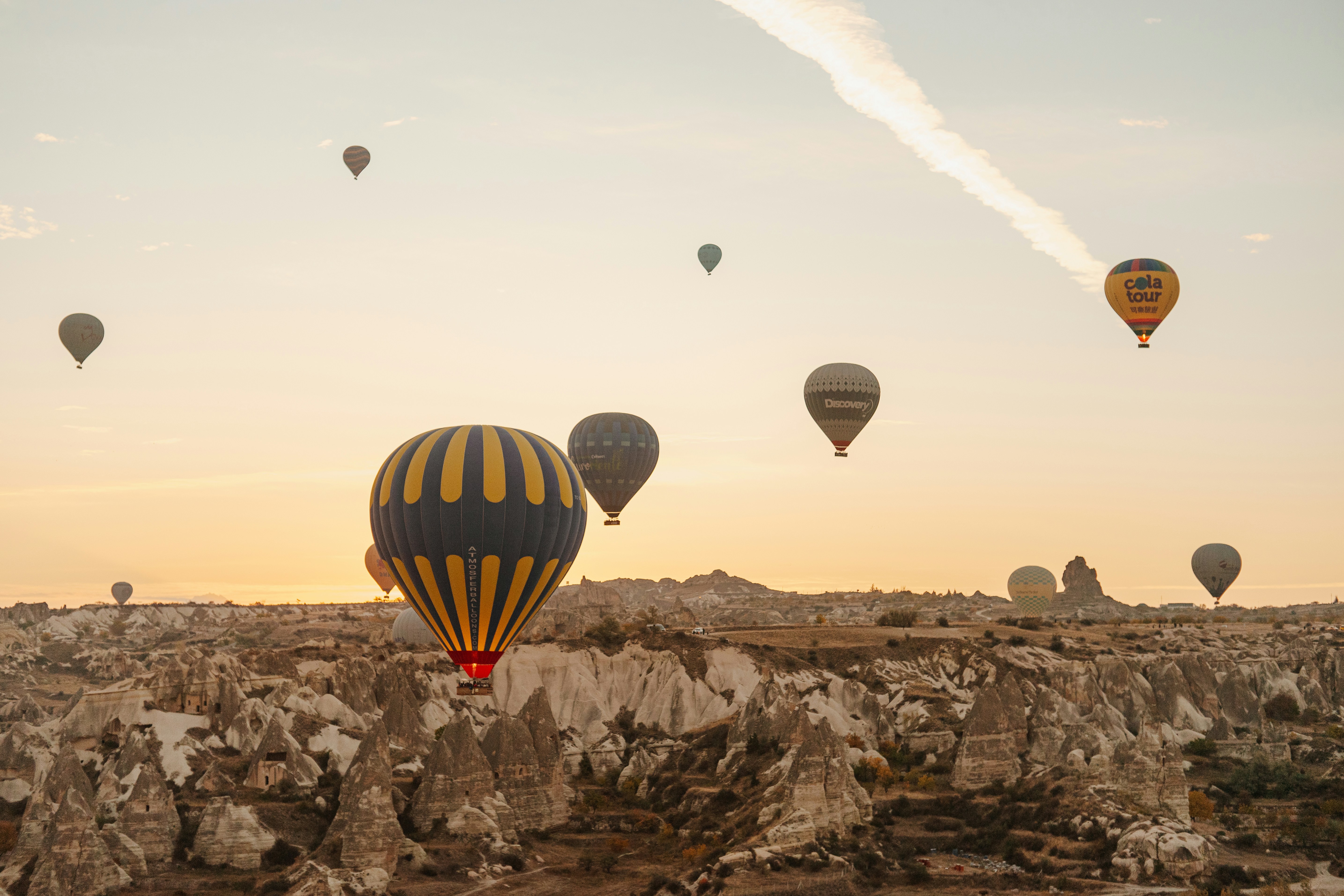 Photo by igorharrier