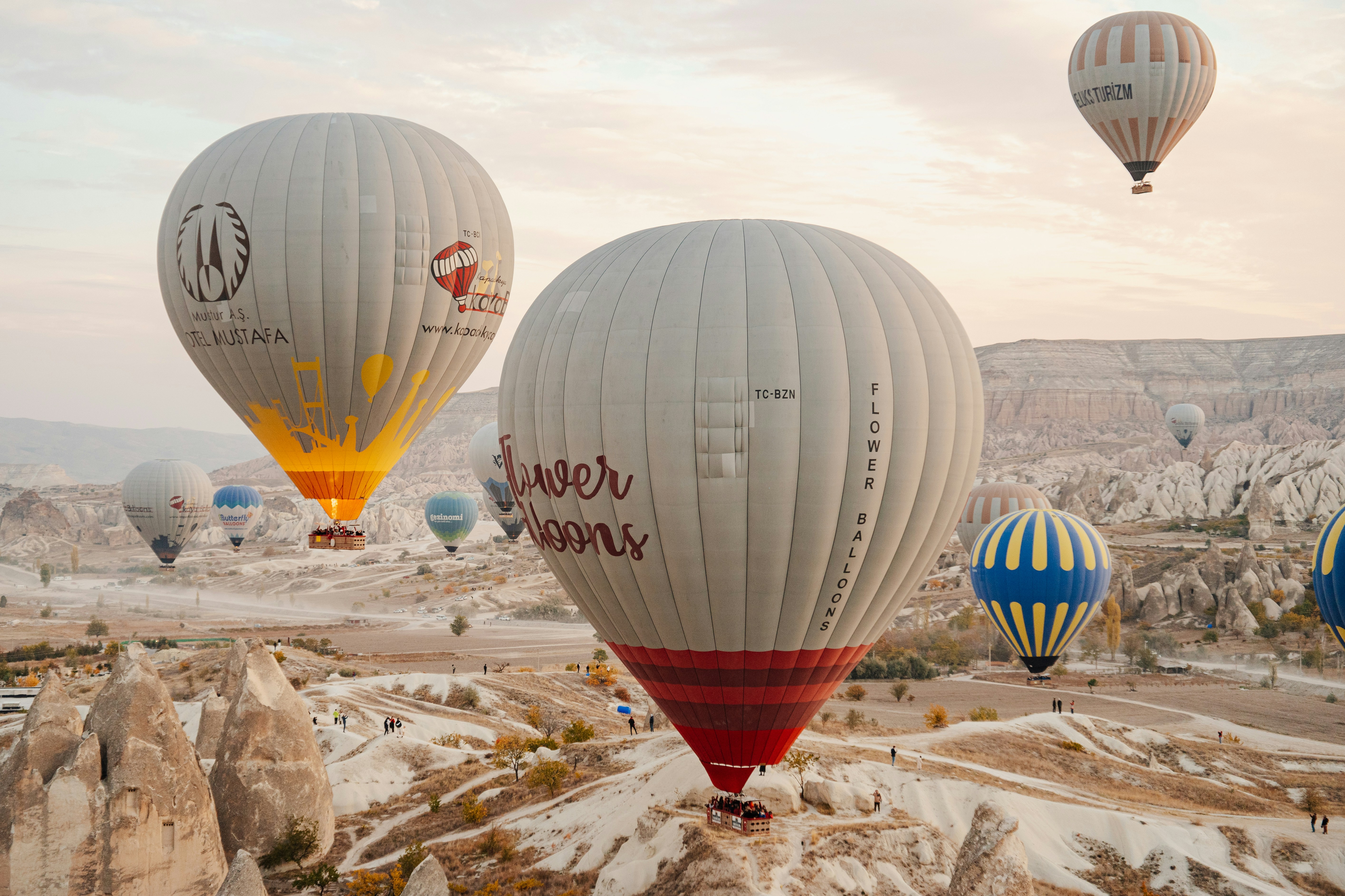 Photo by igorharrier