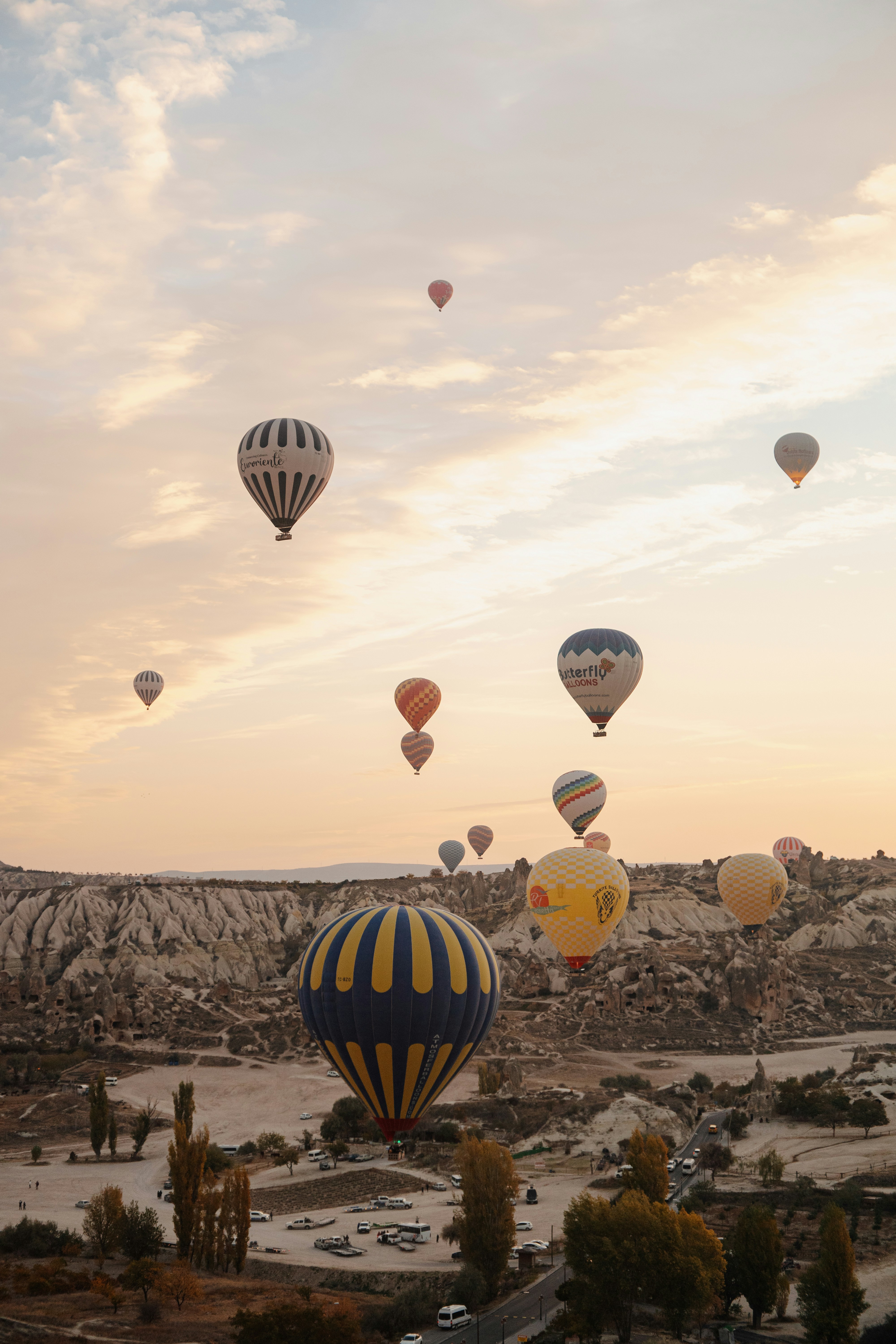 Photo by igorharrier