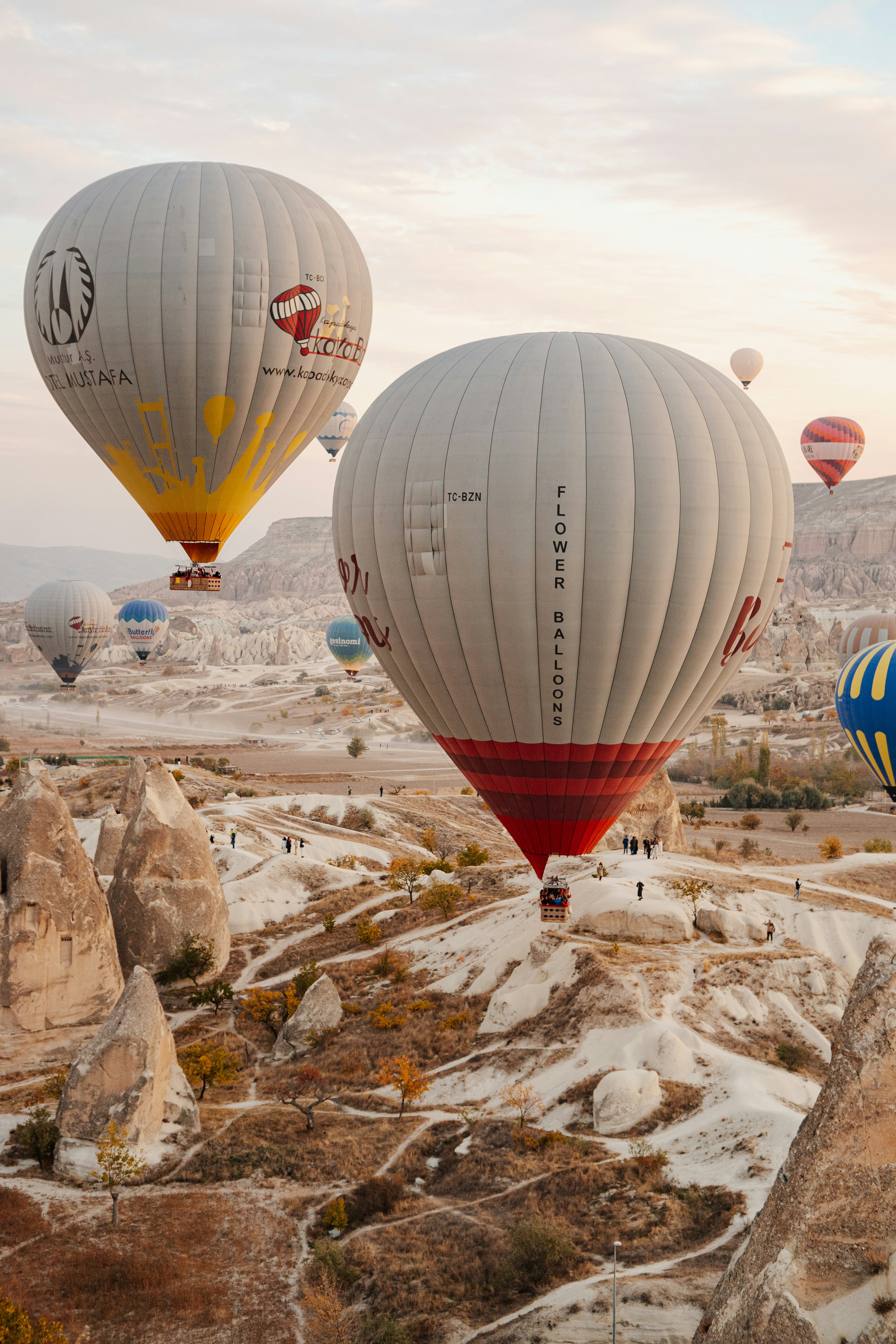 Photo by igorharrier