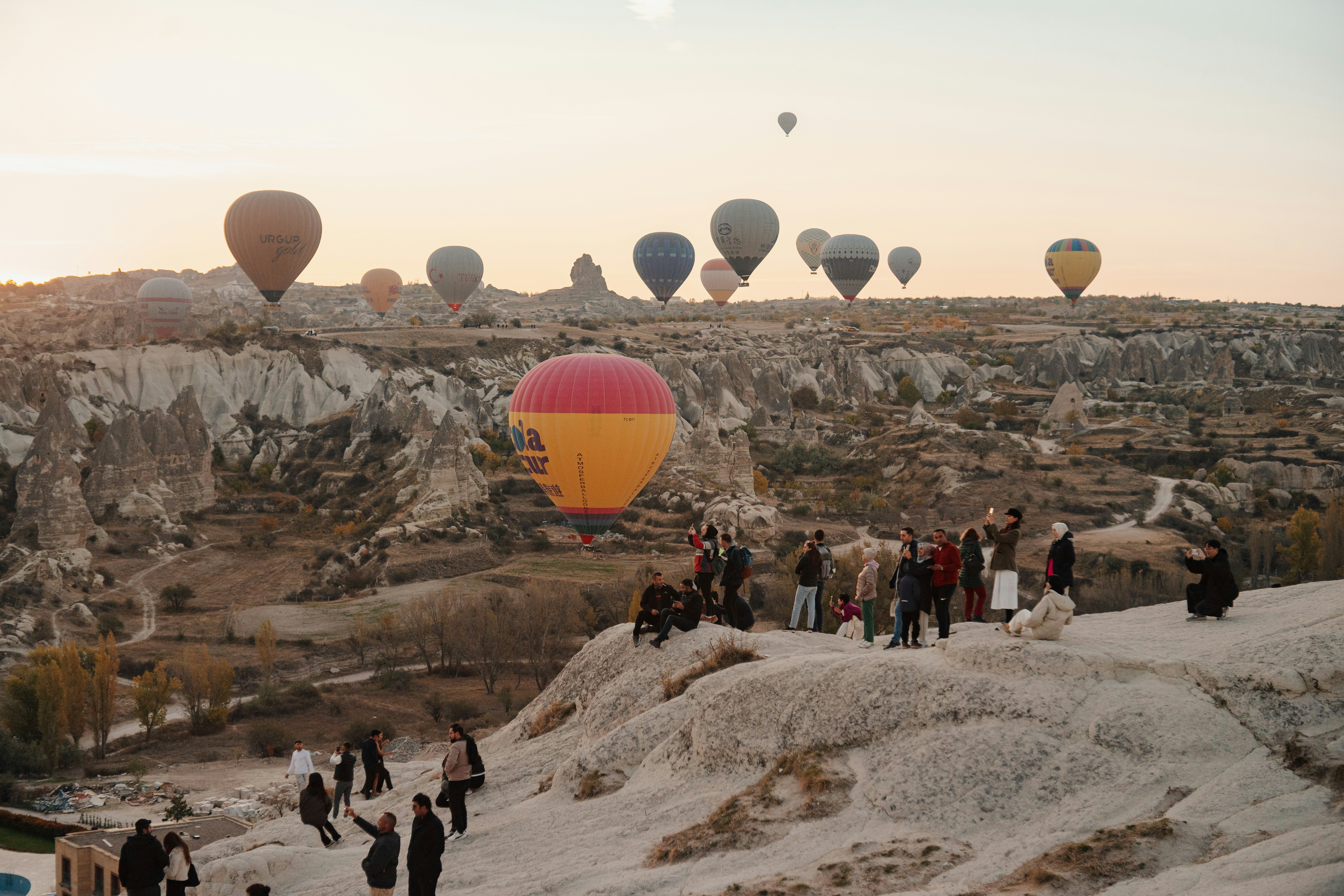 Photo by igorharrier