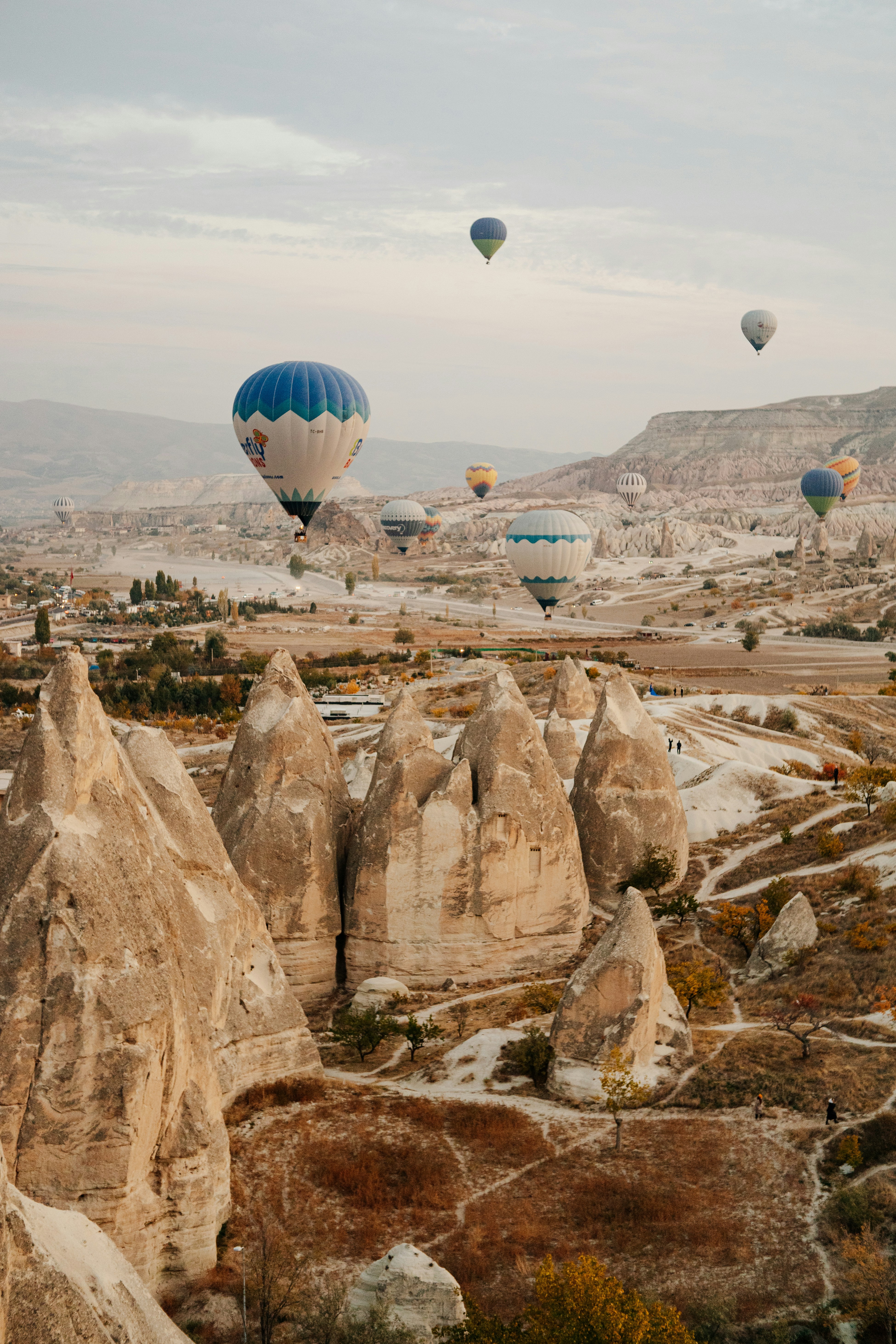 Photo by igorharrier