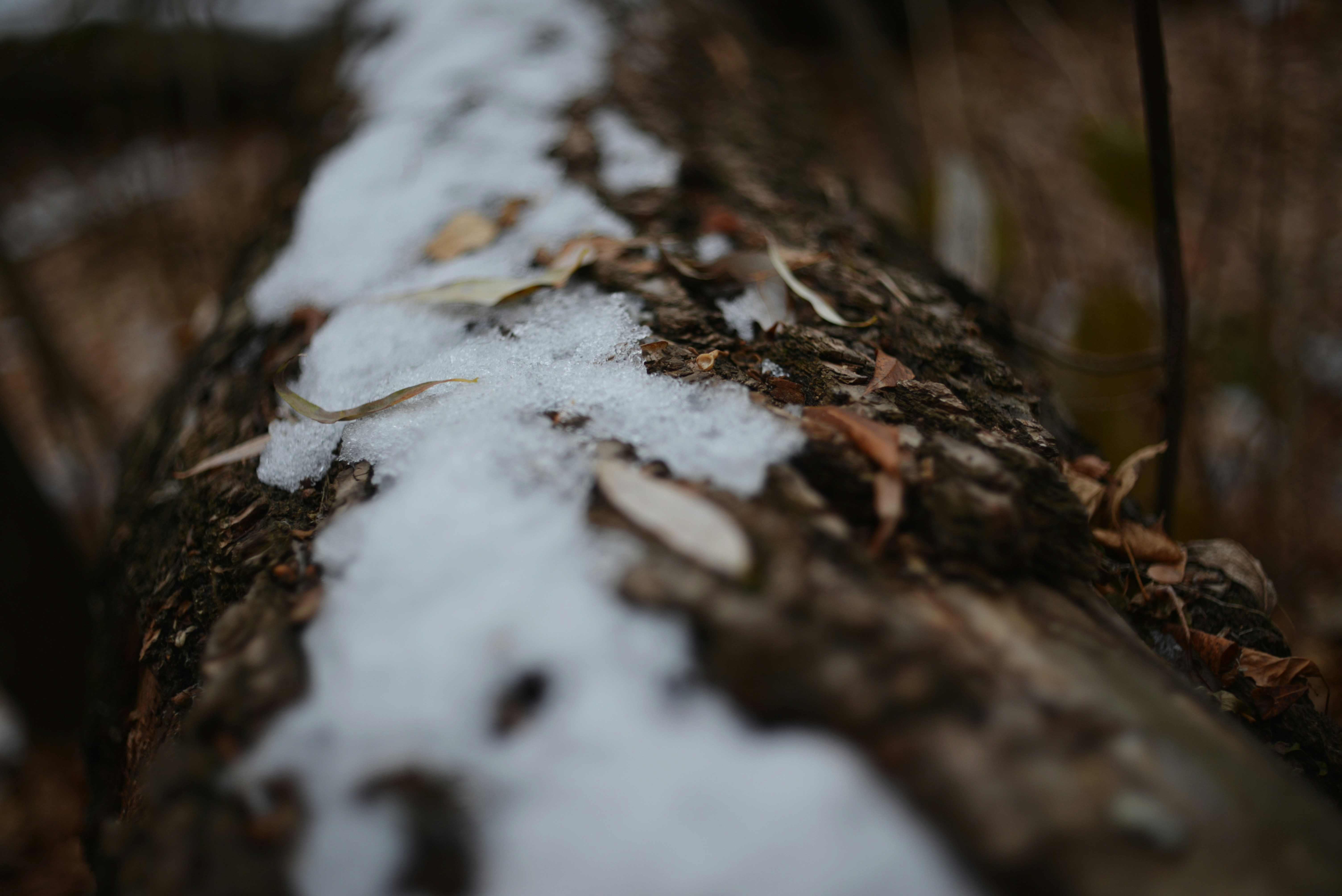 Photo by cherstve_pechivo