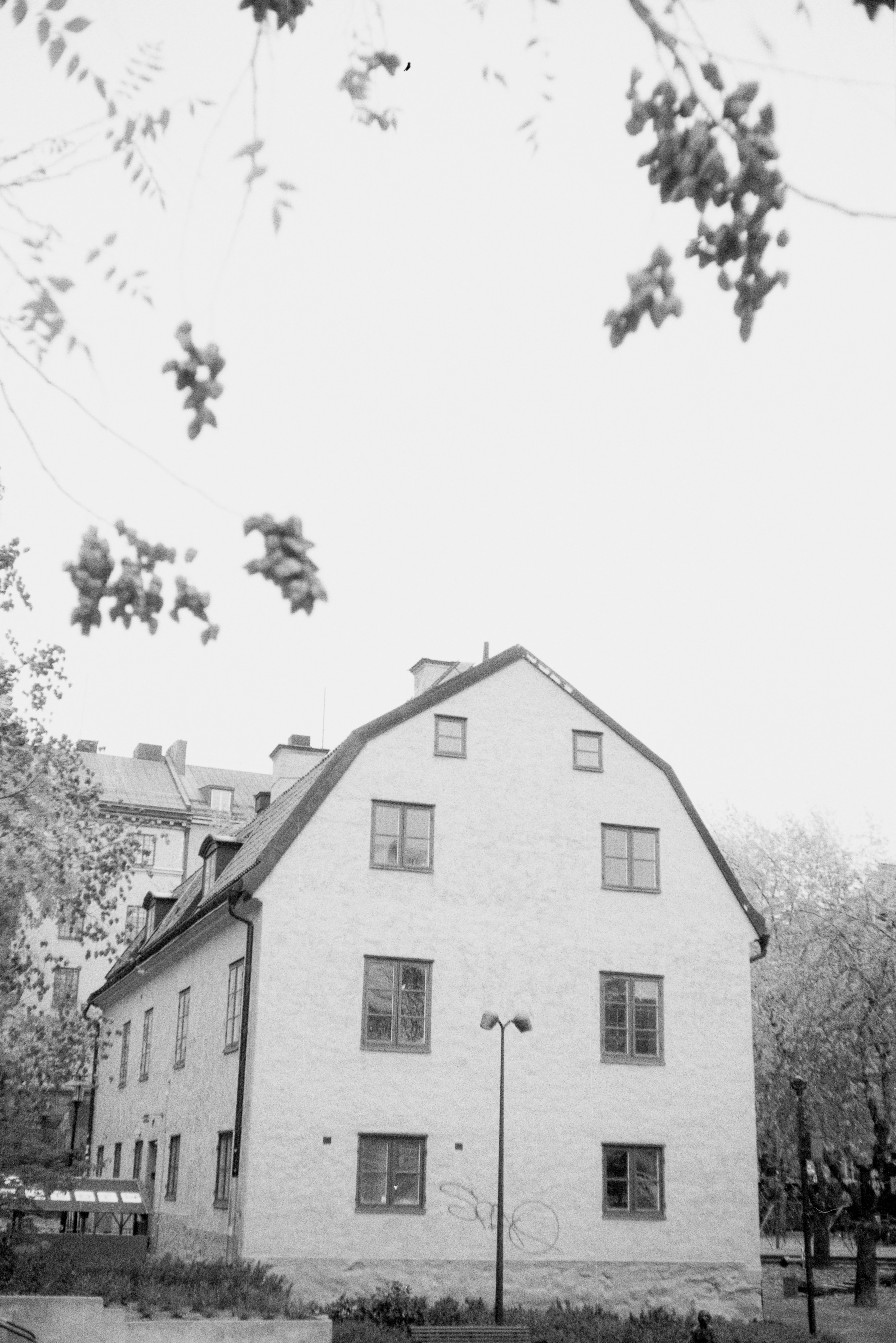 Photo by anniespratt