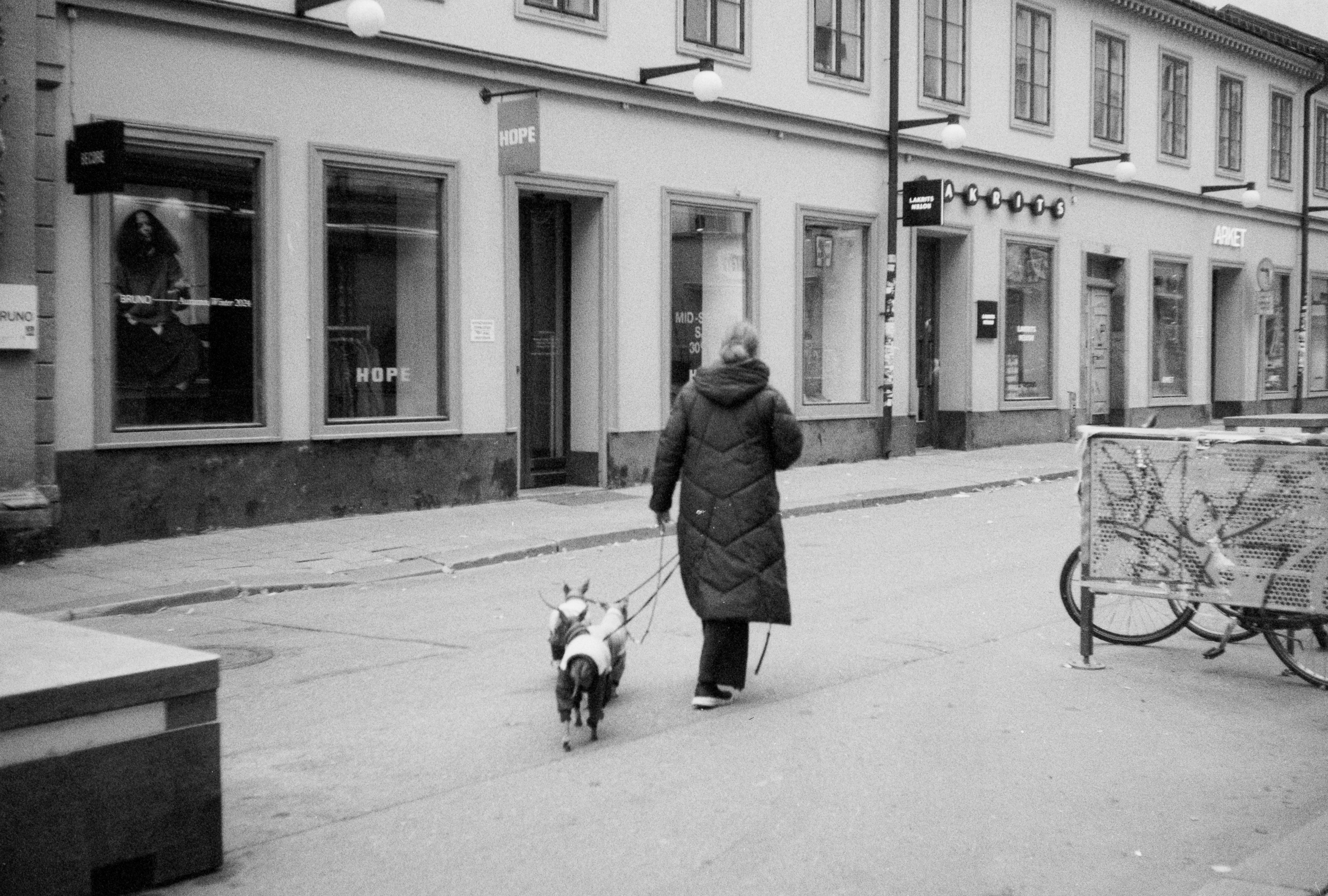 Photo by anniespratt