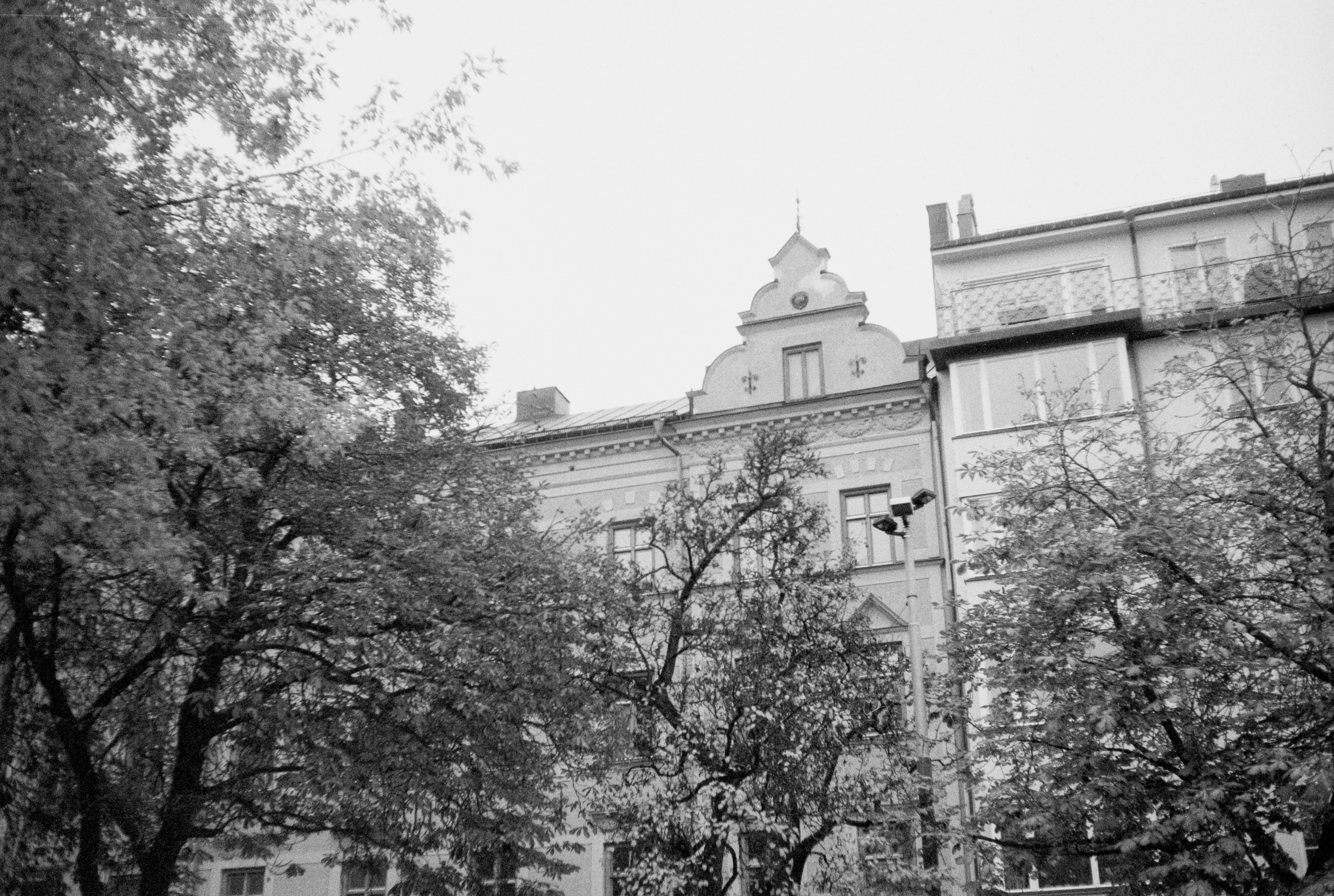 Photo by anniespratt