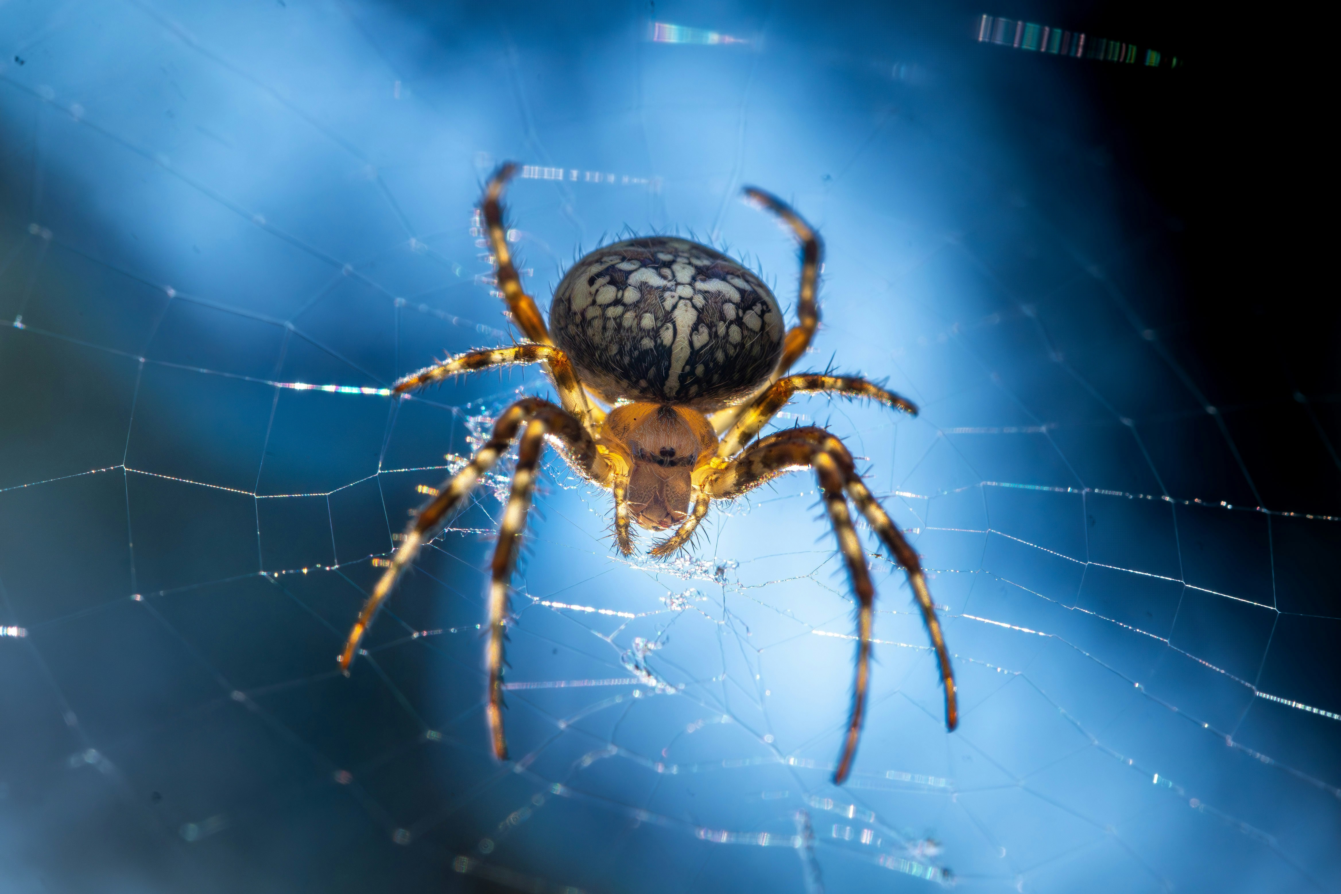 Photo by tobymachtfotos