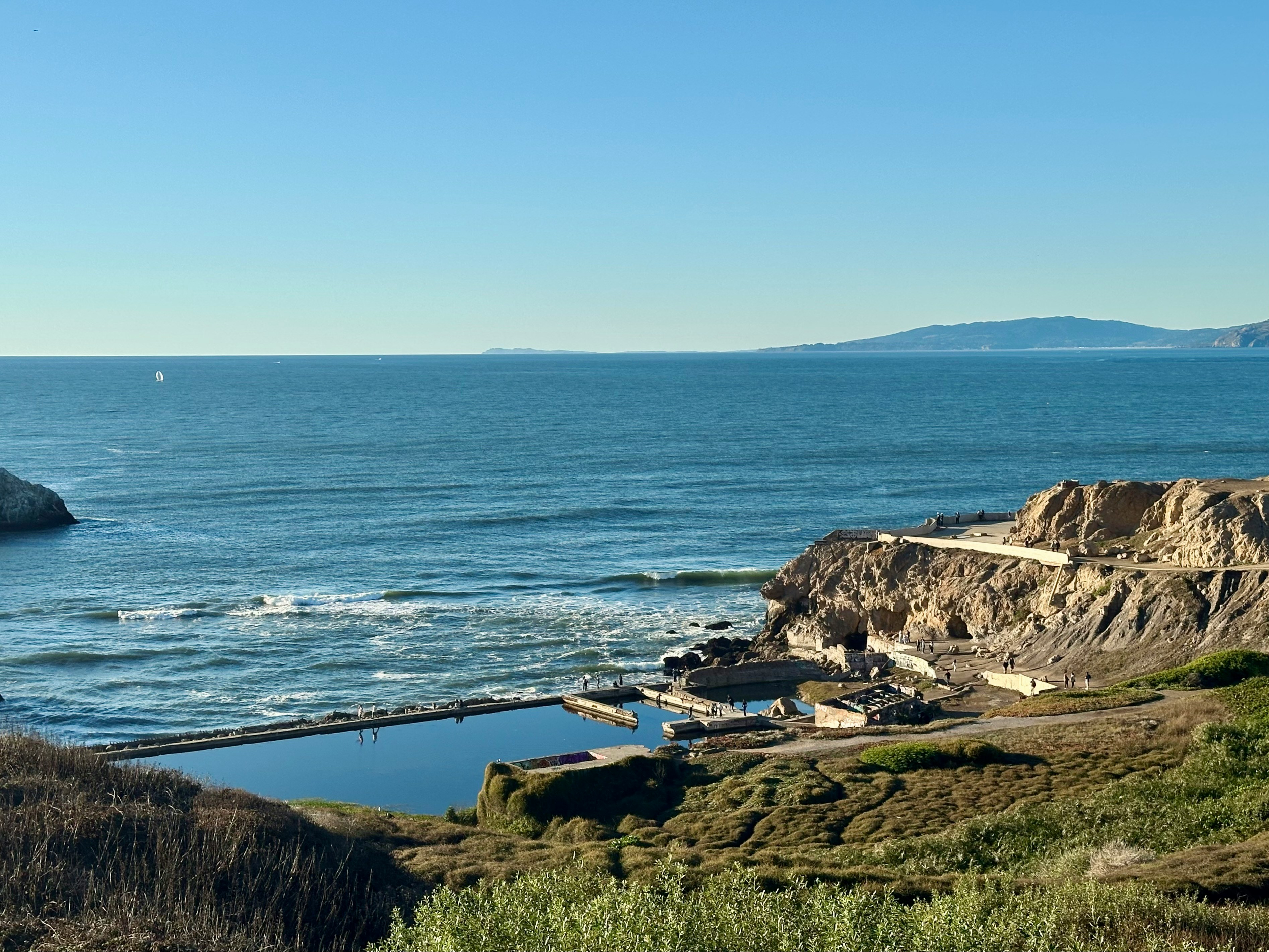 Saving the Salmon at Our Door: Why the Bay Area's Fight for Wild Runs Cannot Wait