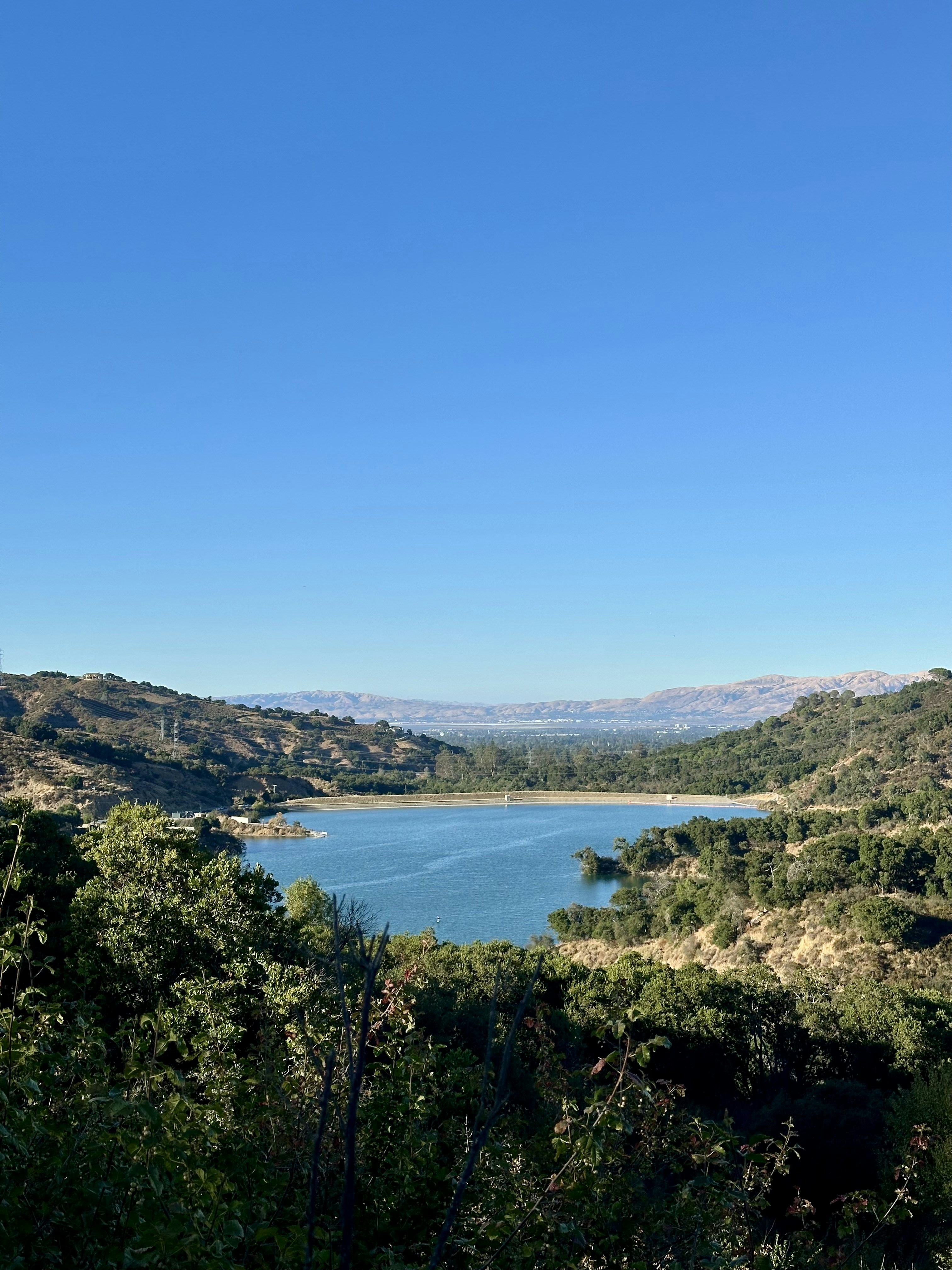 Photo by rollingshots