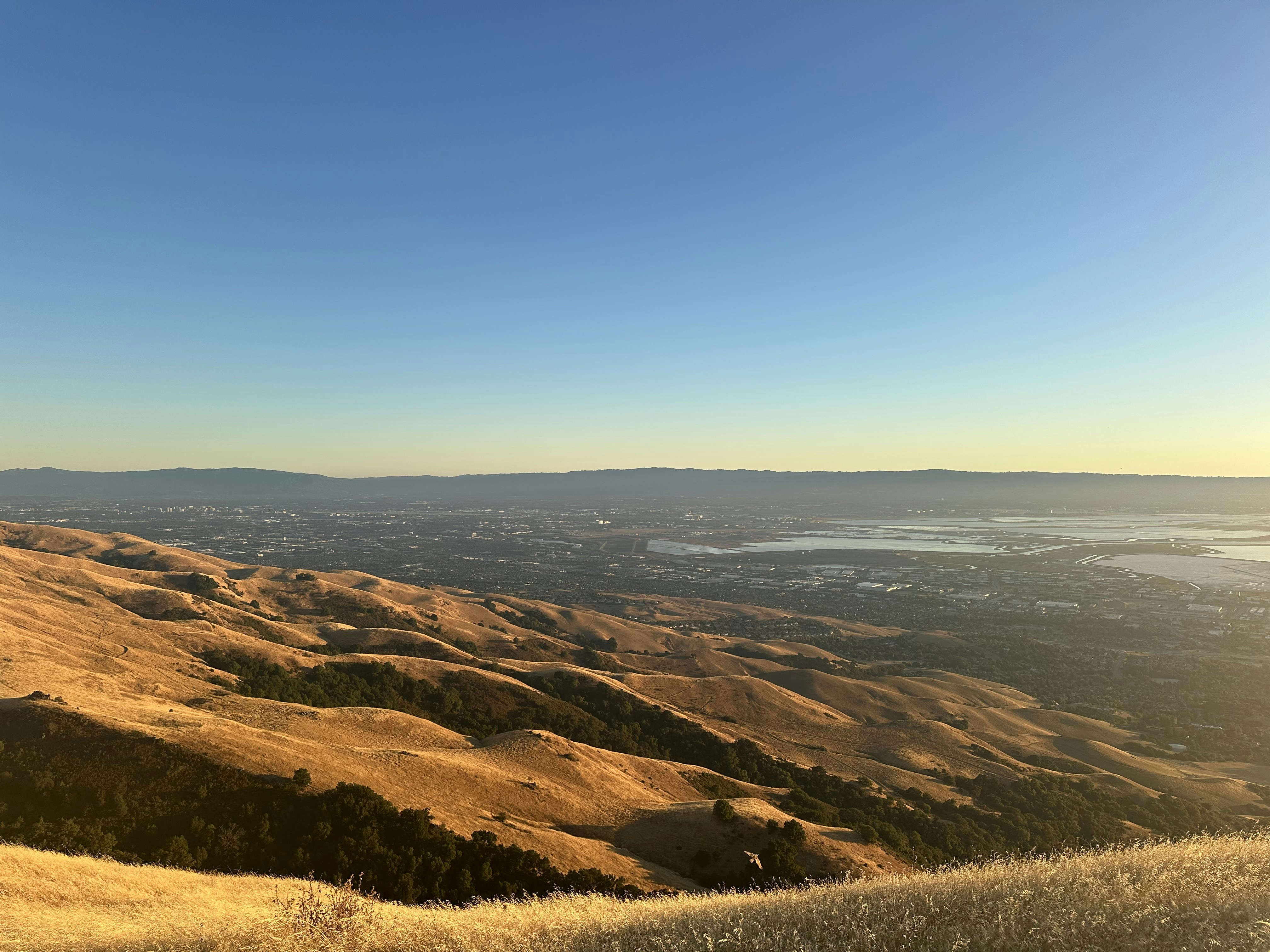 Photo by rollingshots