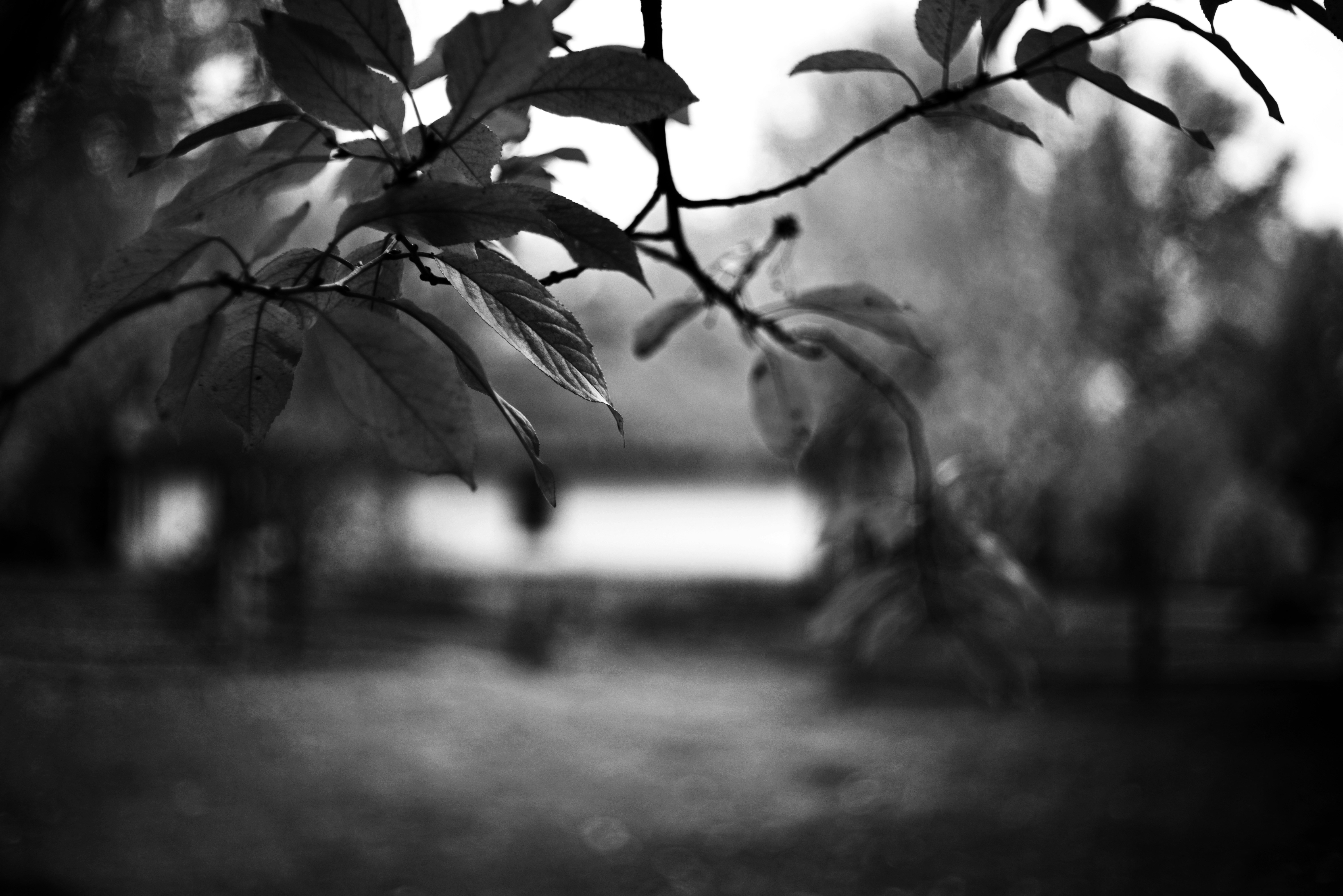 Photo by cherstve_pechivo